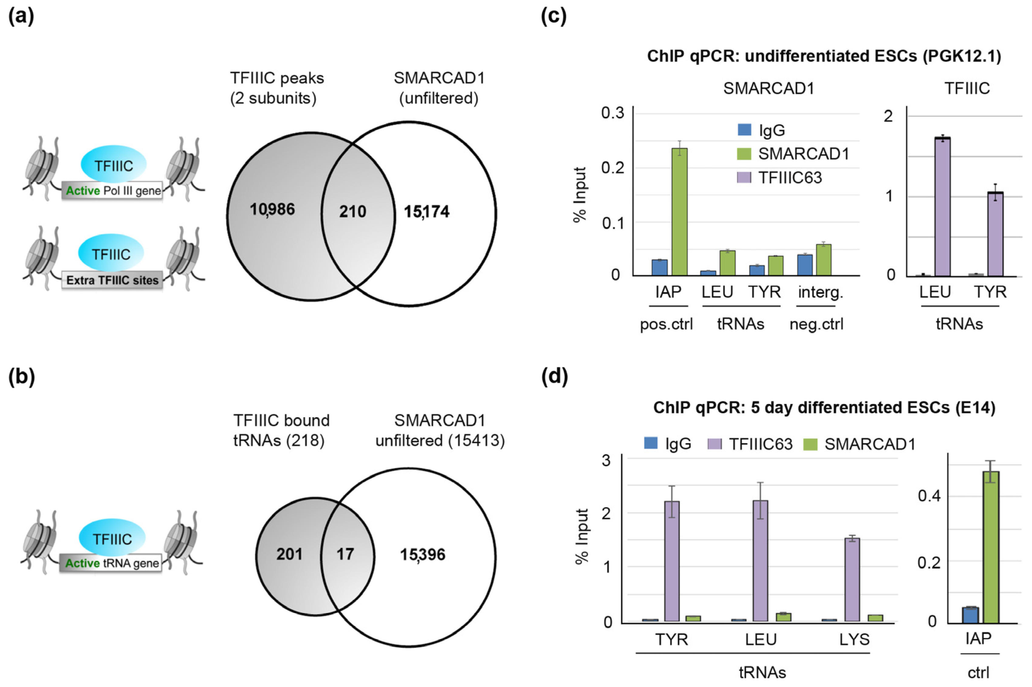 Genes 14 01793 g007