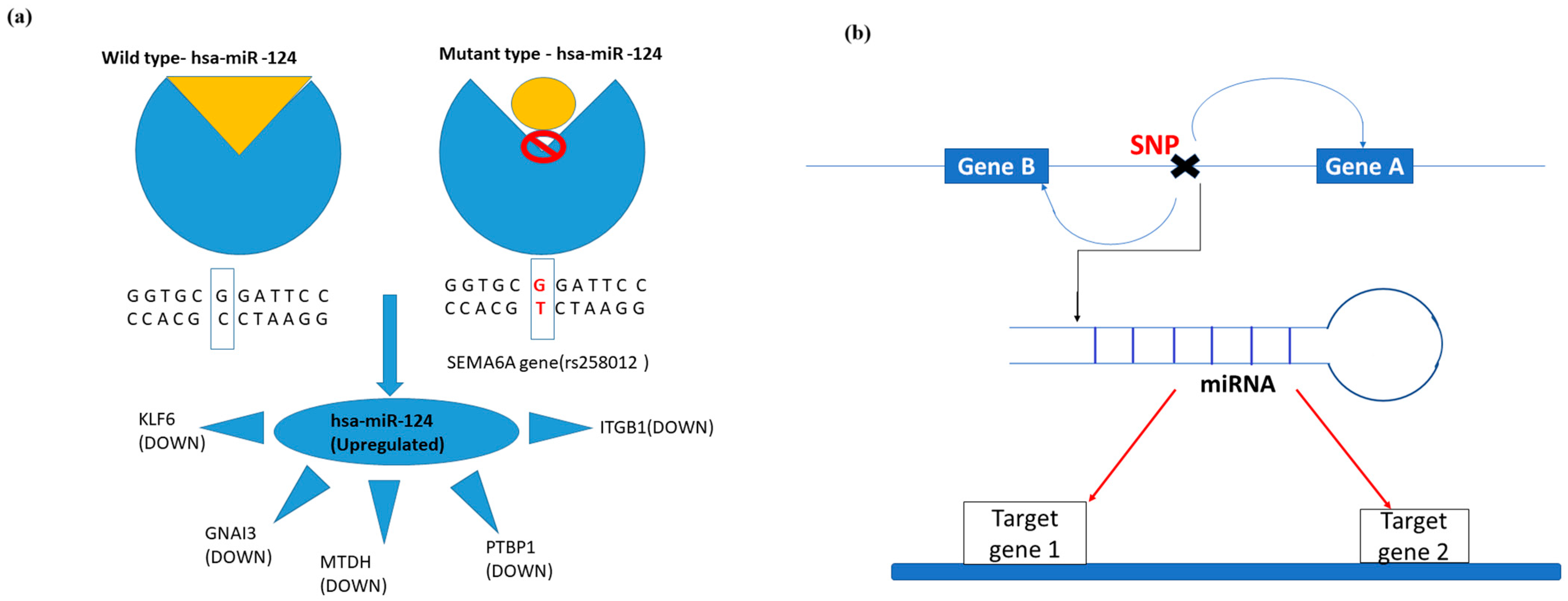 Genes 14 01801 g008