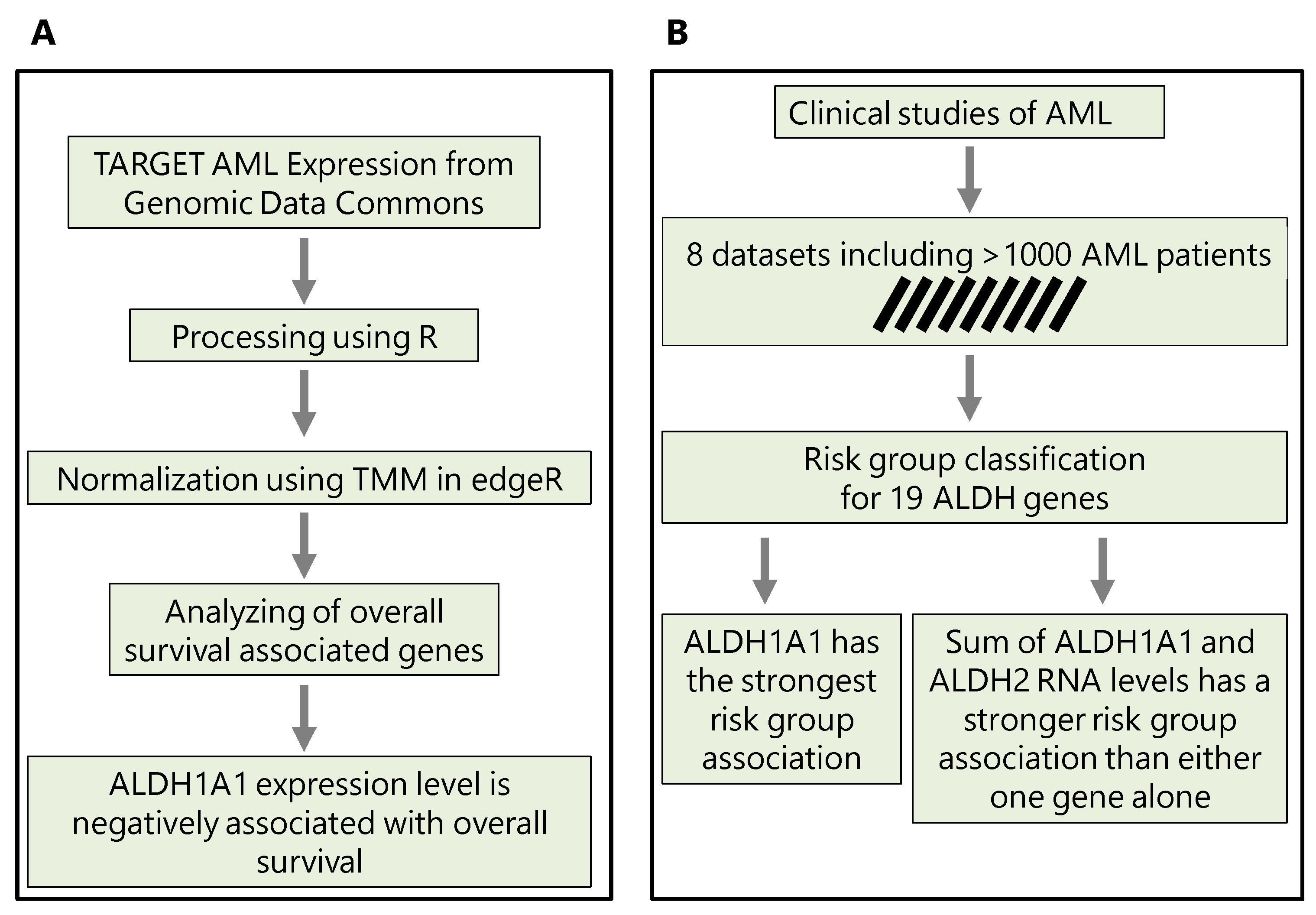 Genes 14 01807 g001