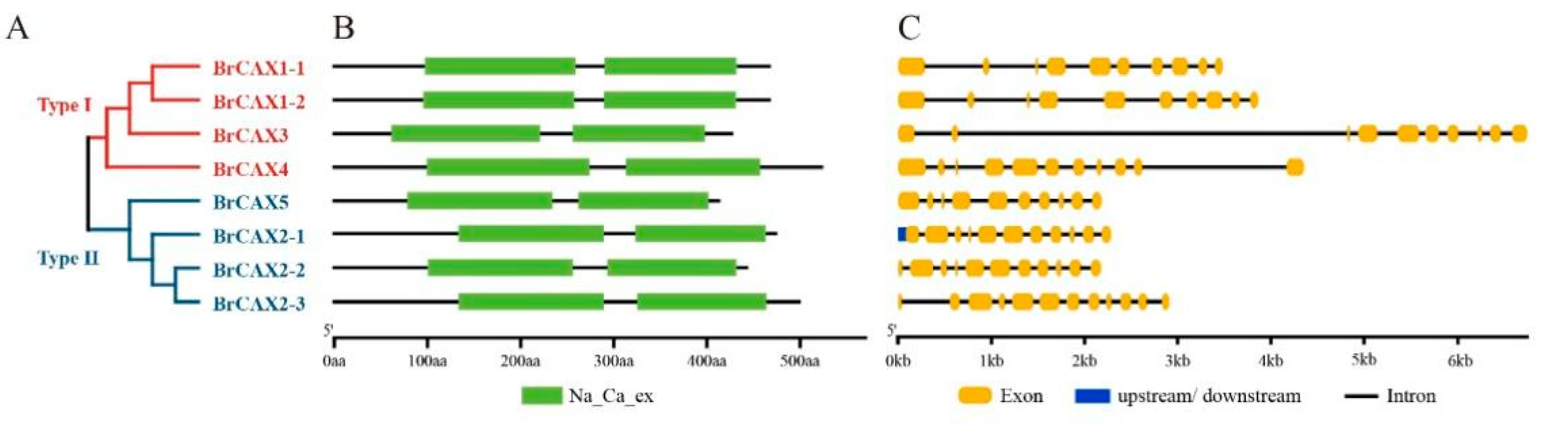 Genes 14 01810 g001 Genes 14 01810 g001