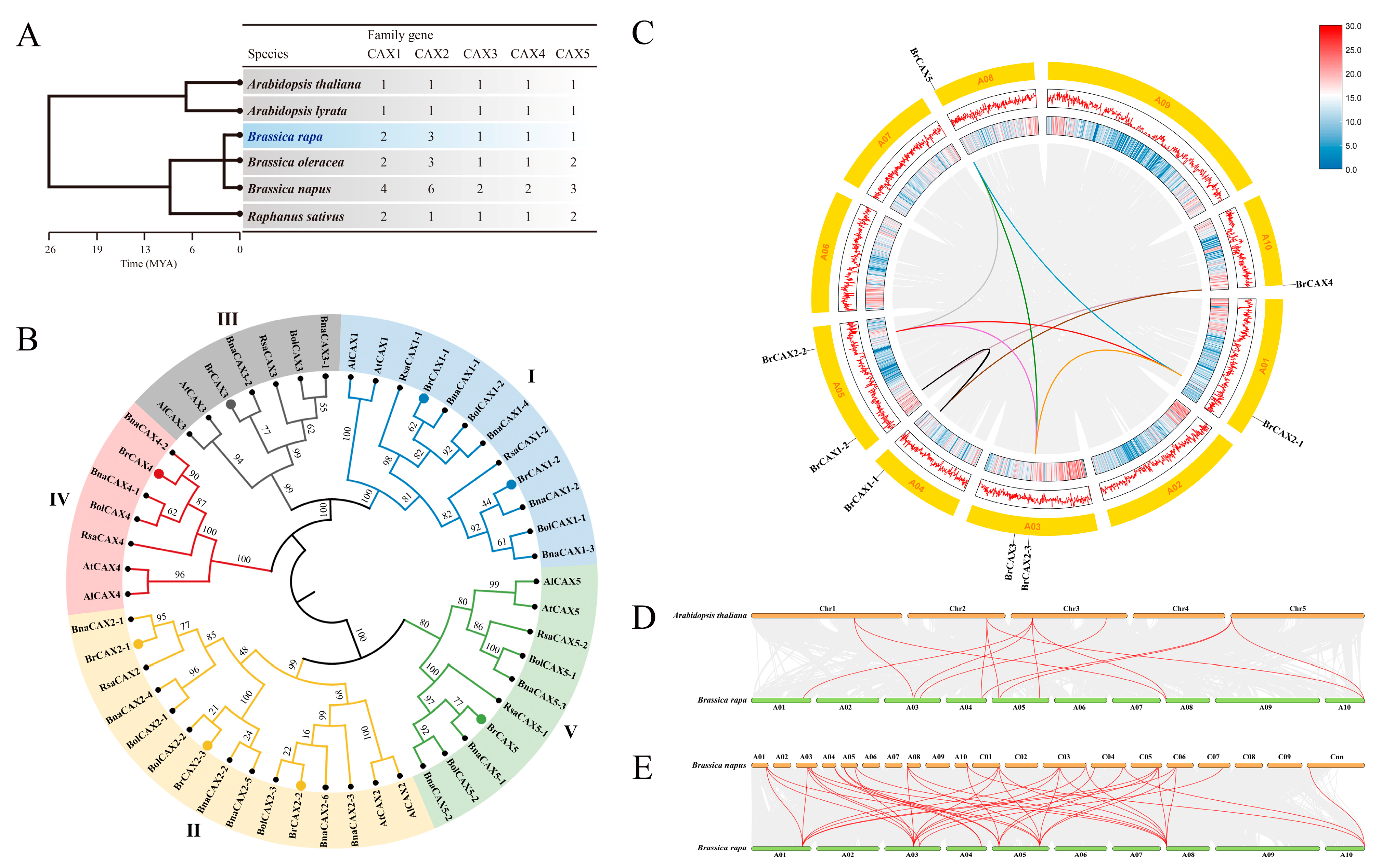 Genes 14 01810 g002 Genes 14 01810 g002