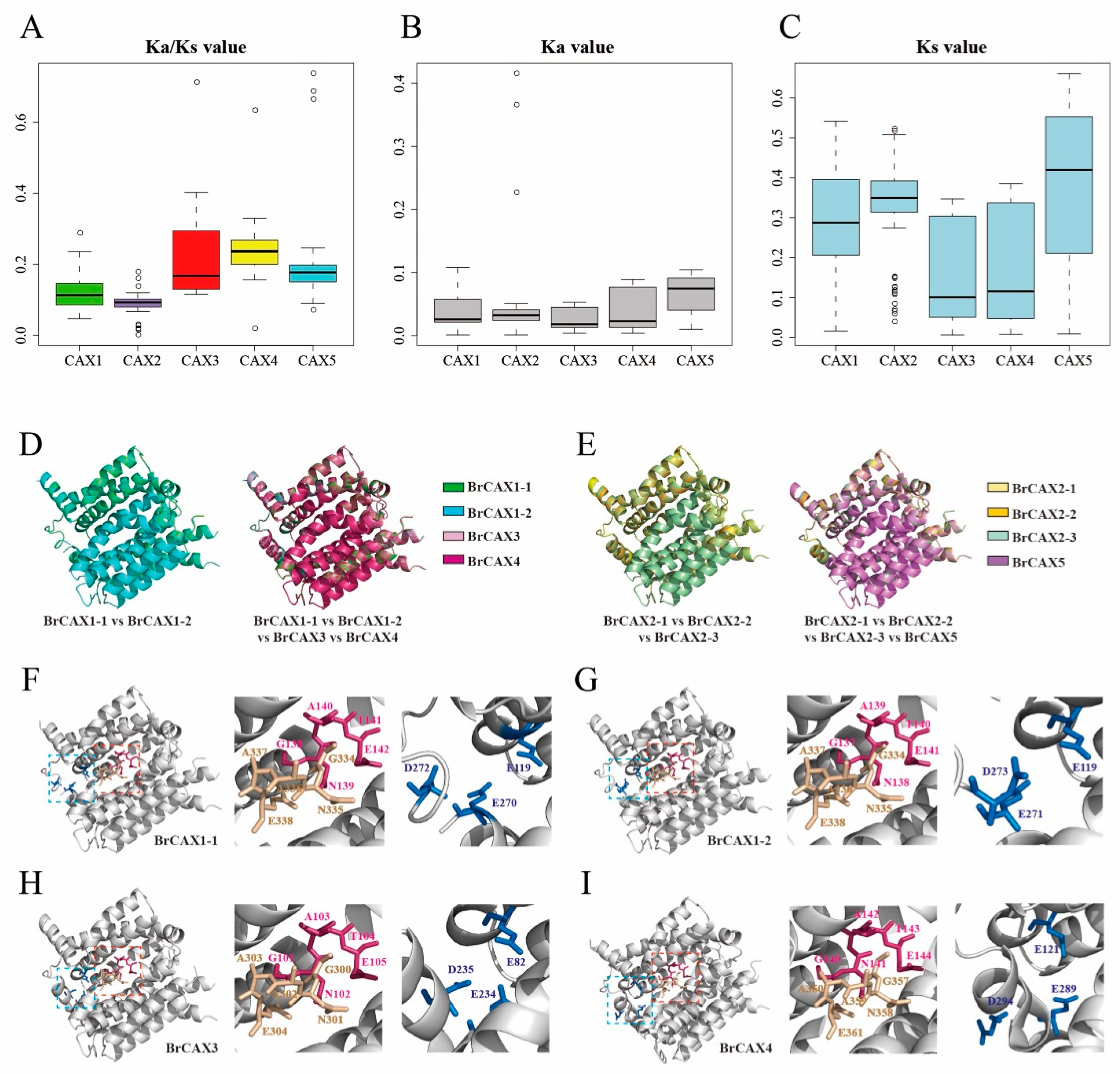 Genes 14 01810 g003 Genes 14 01810 g003