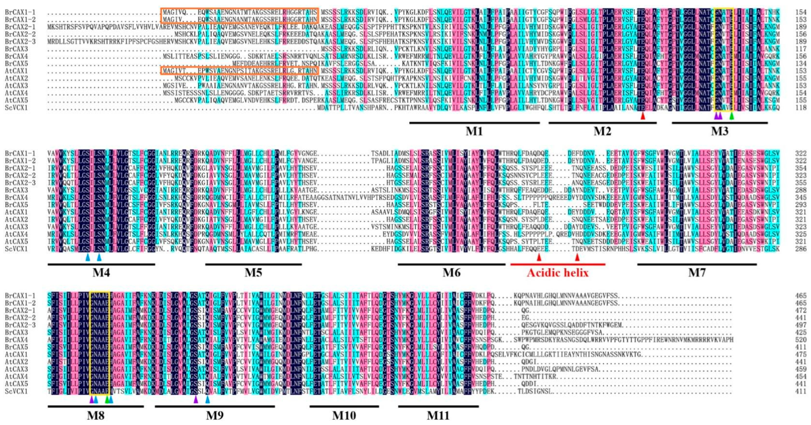 Genes 14 01810 g004 Genes 14 01810 g004