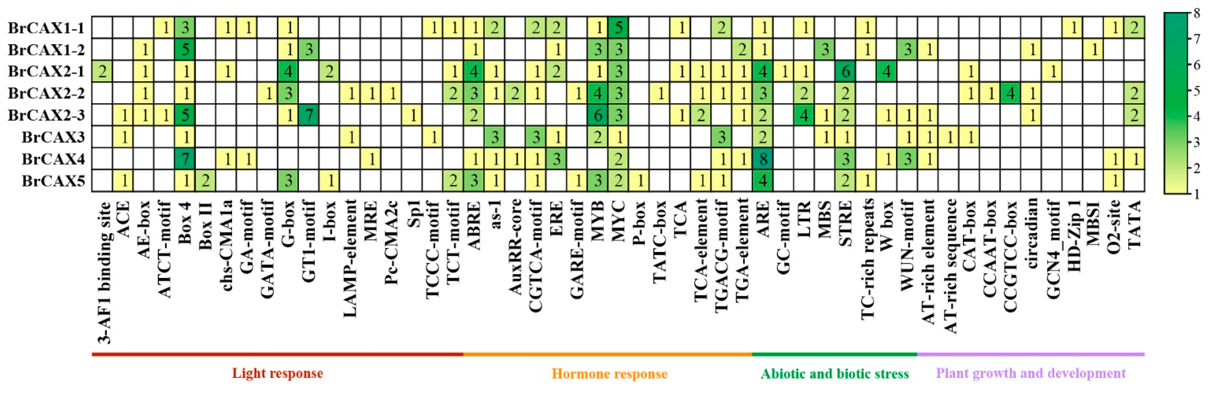 Genes 14 01810 g005 Genes 14 01810 g005