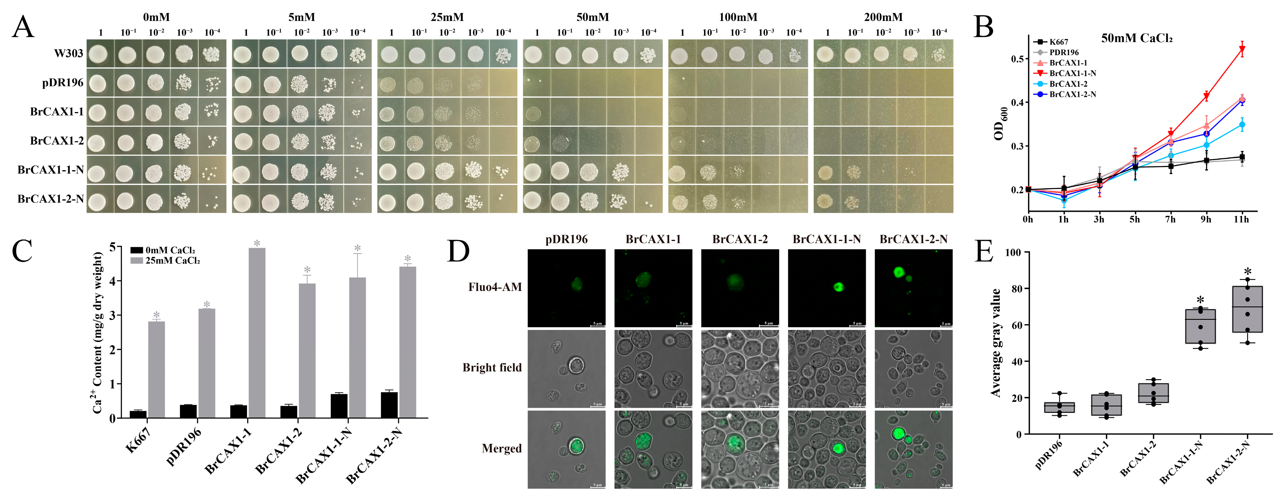 Genes 14 01810 g010 Genes 14 01810 g010