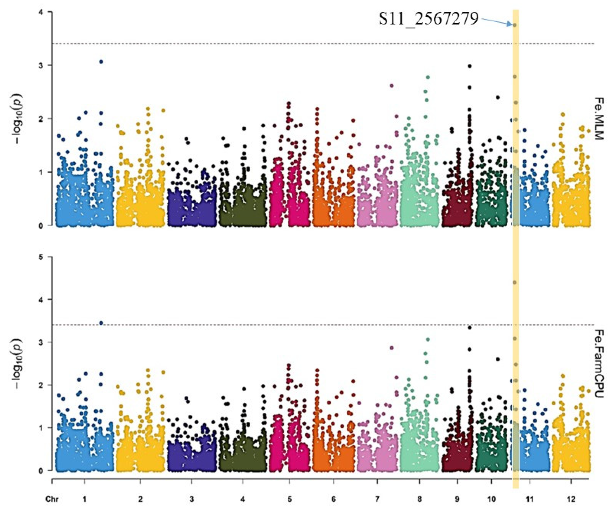 Genes 14 01815 g004 Genes 14 01815 g004