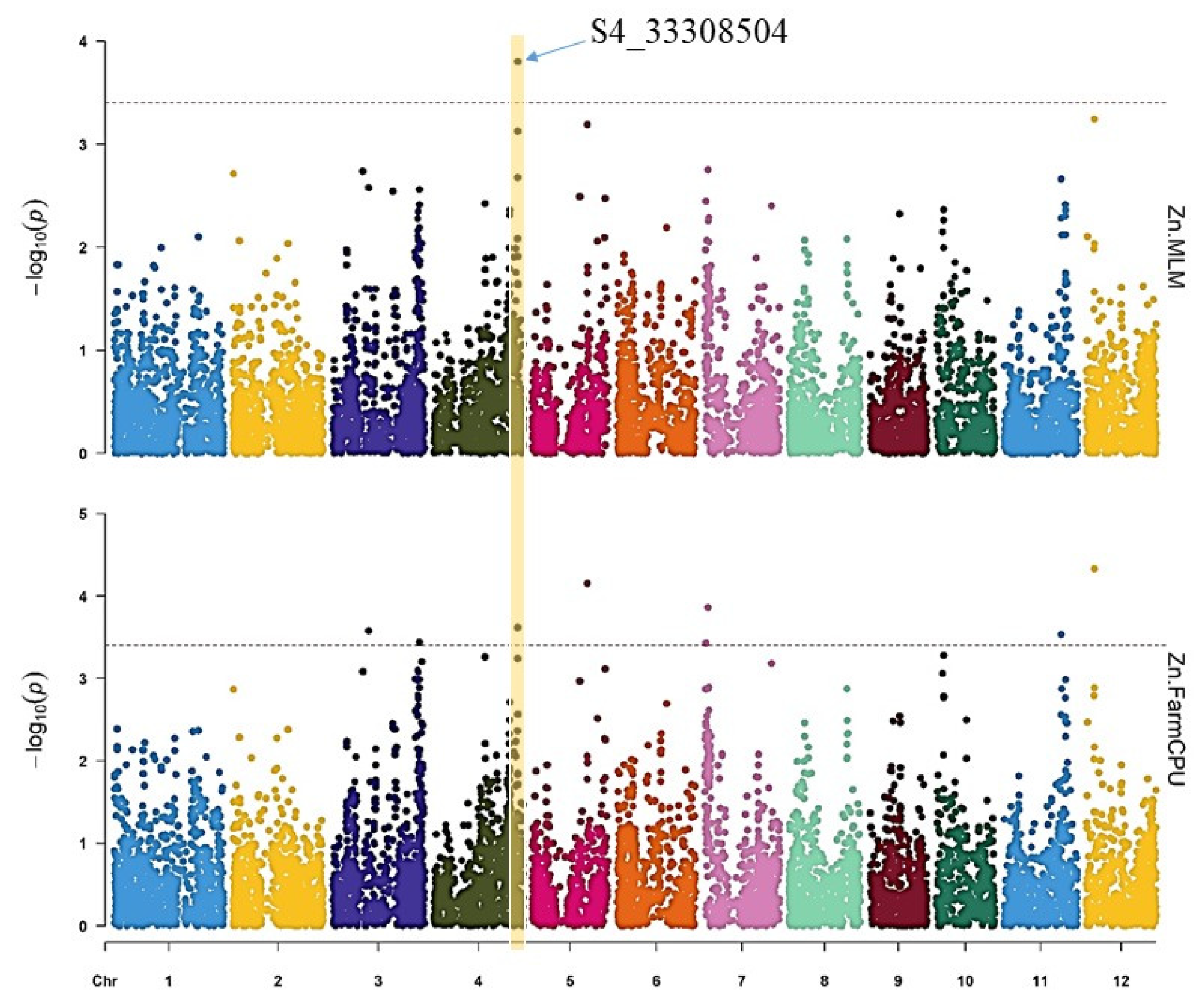 Genes 14 01815 g005 Genes 14 01815 g005