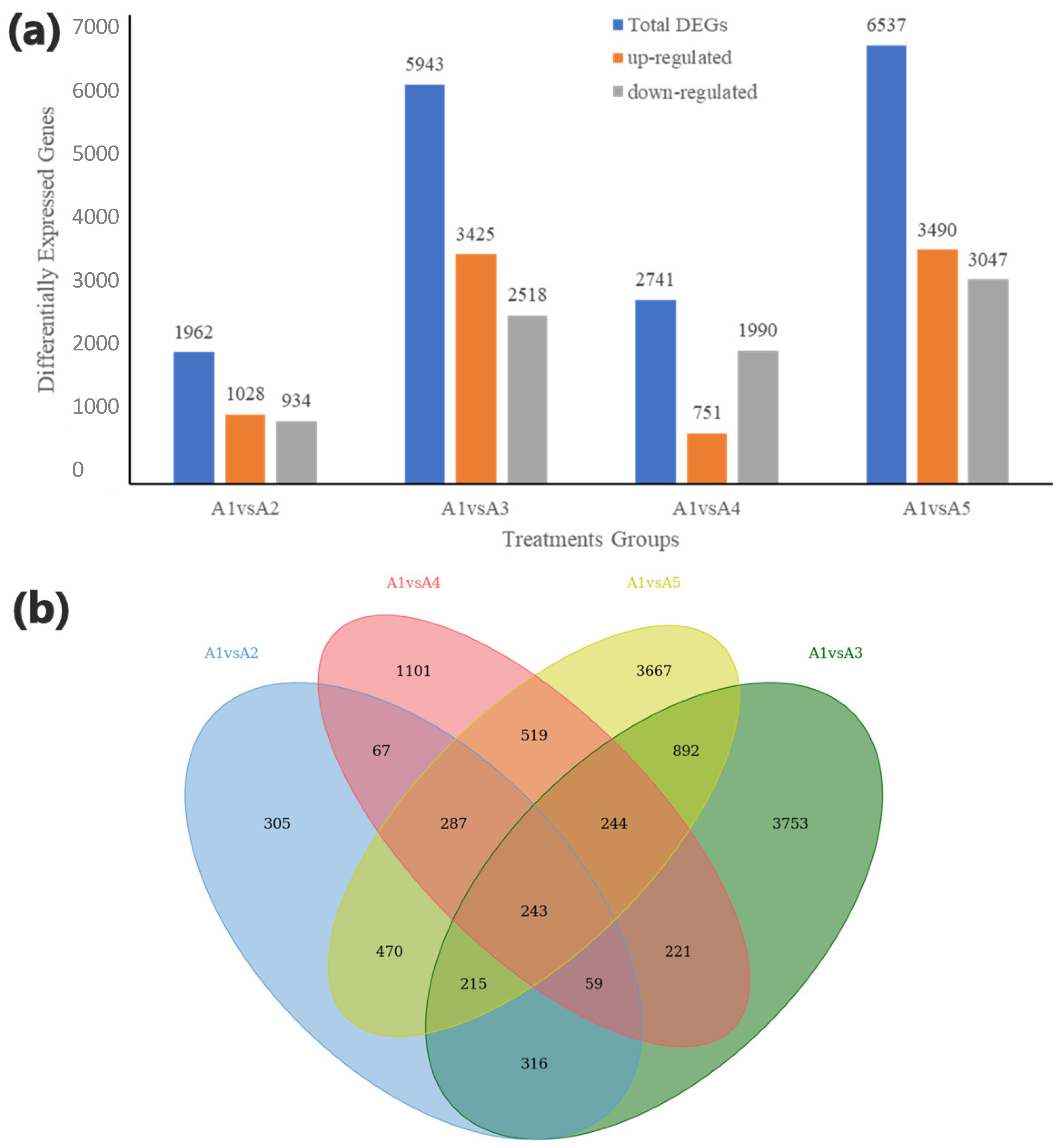 Genes 14 01825 g004