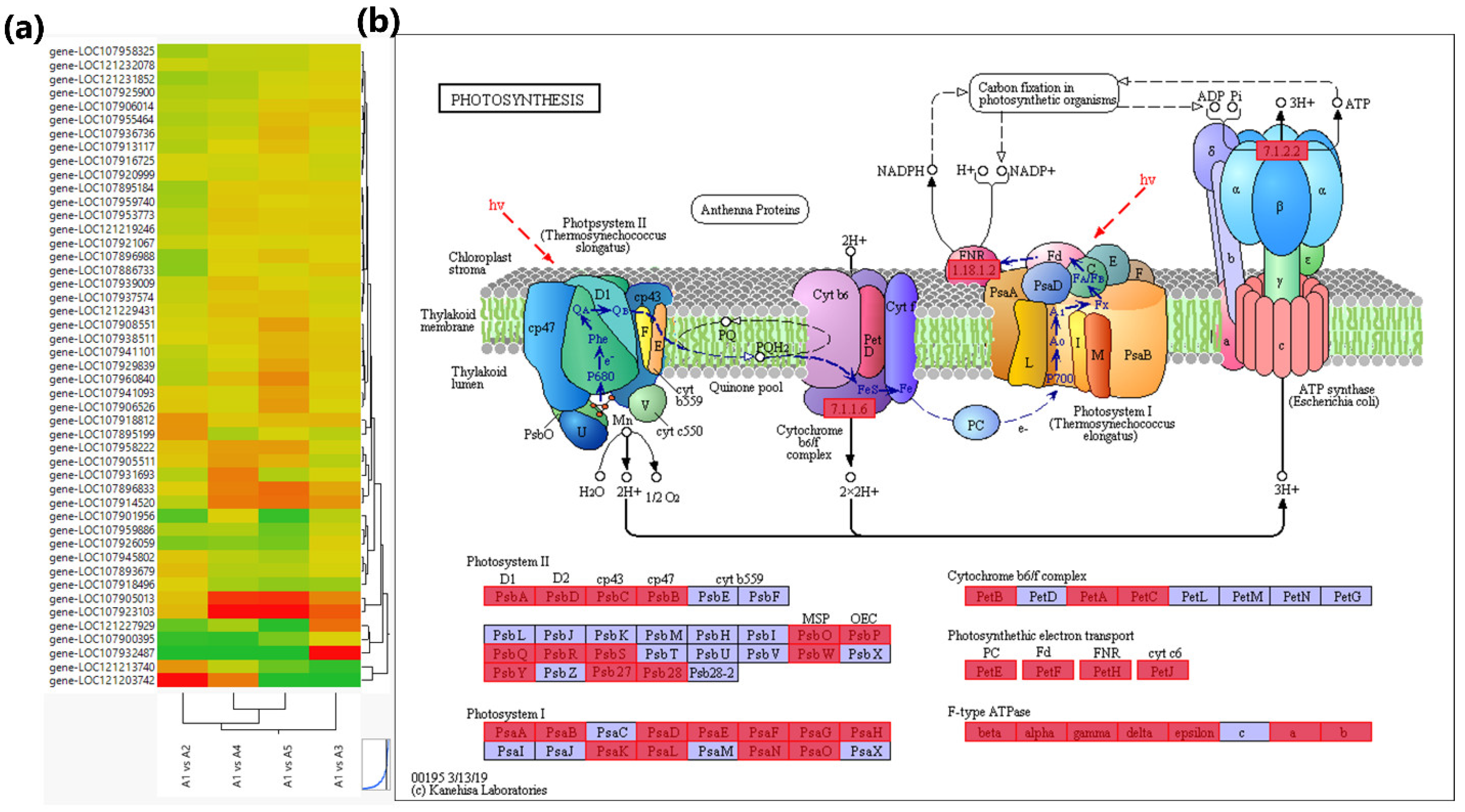 Genes 14 01825 g005