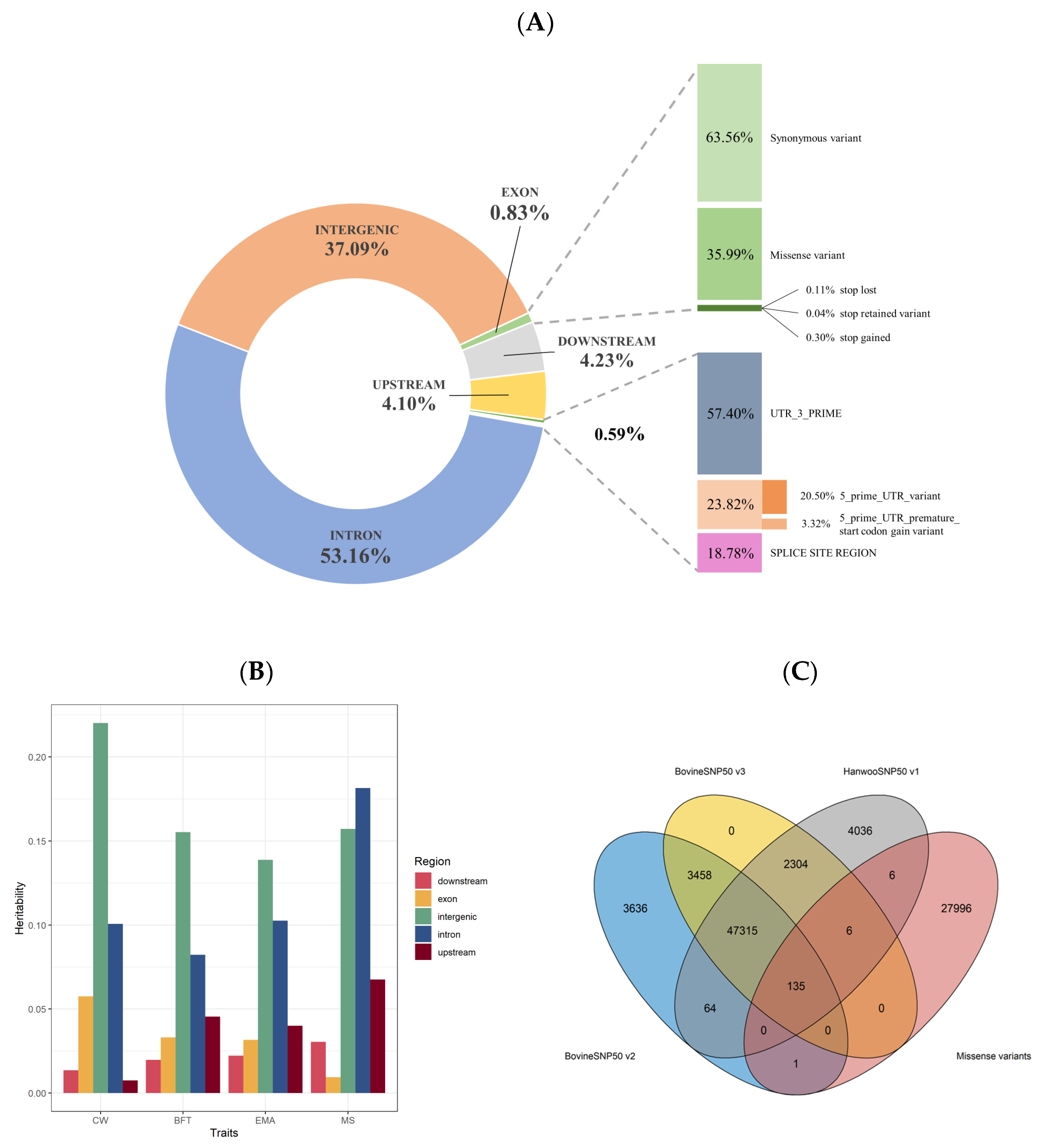 Genes 14 01839 g001