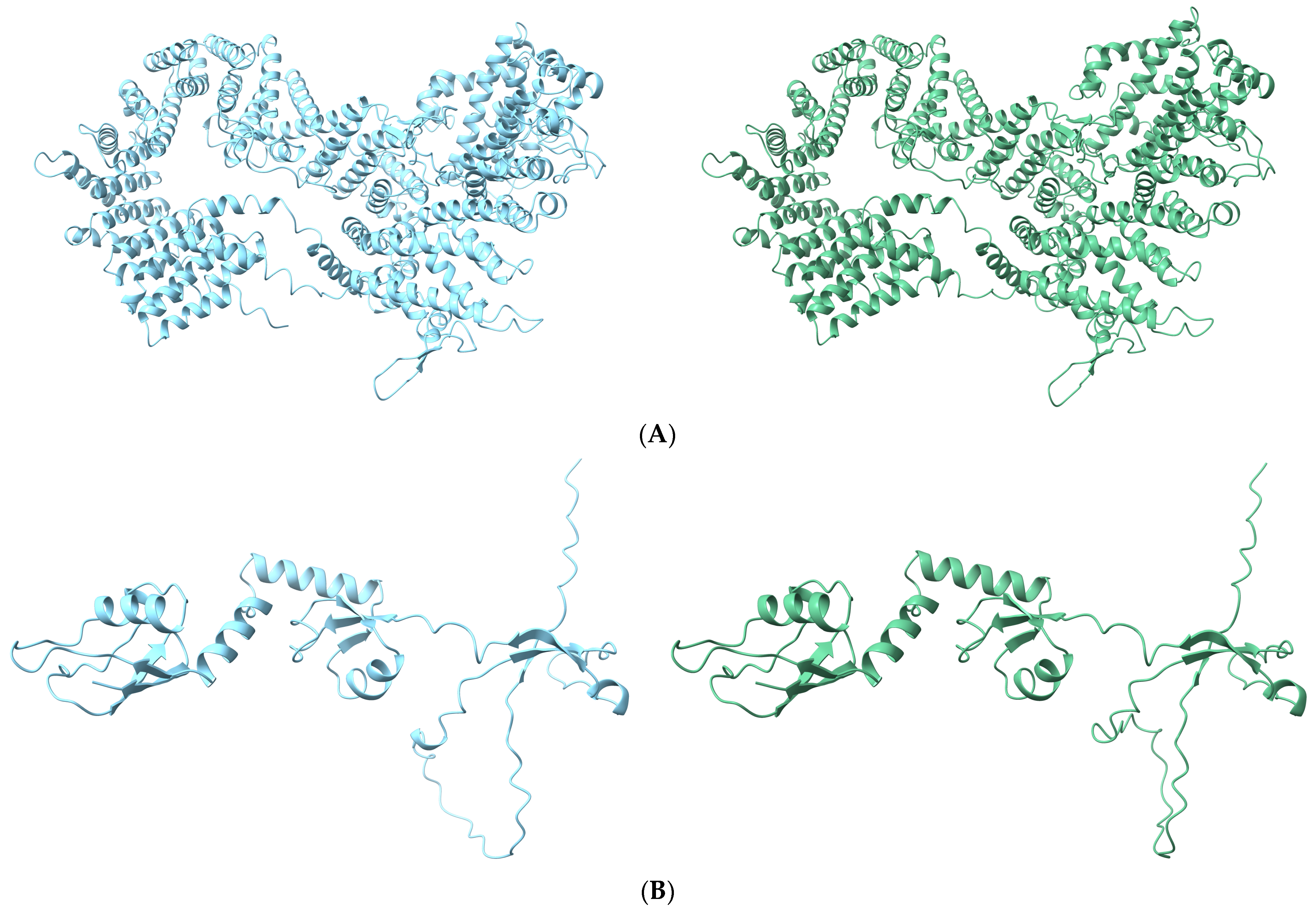 Genes 14 01839 g004a
