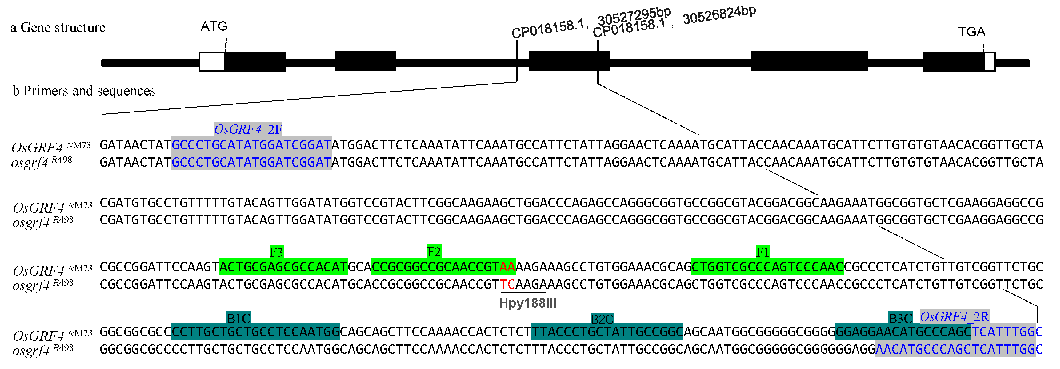 Genes 14 01850 g001