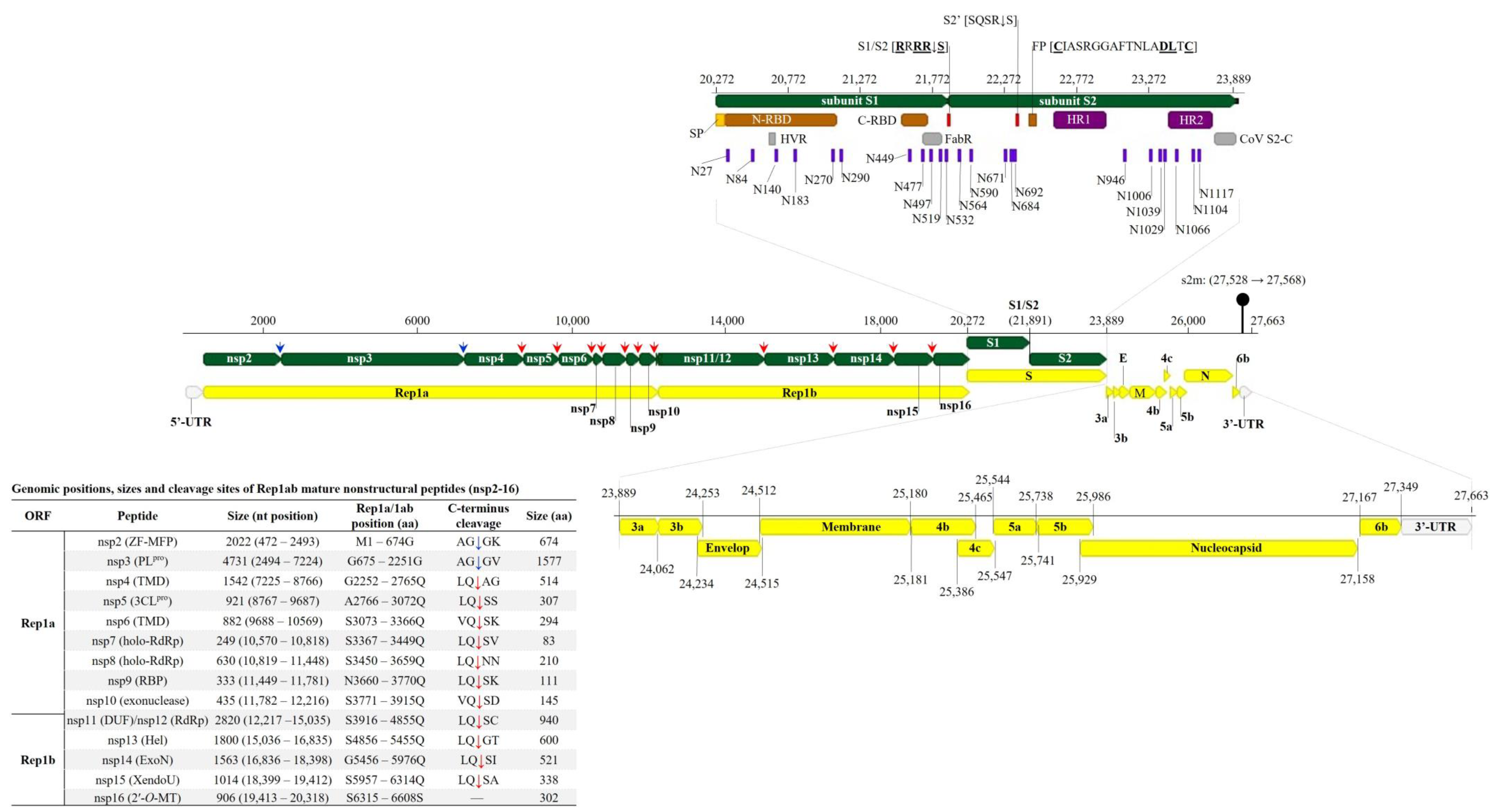 Genes 14 01852 g001 Genes 14 01852 g001