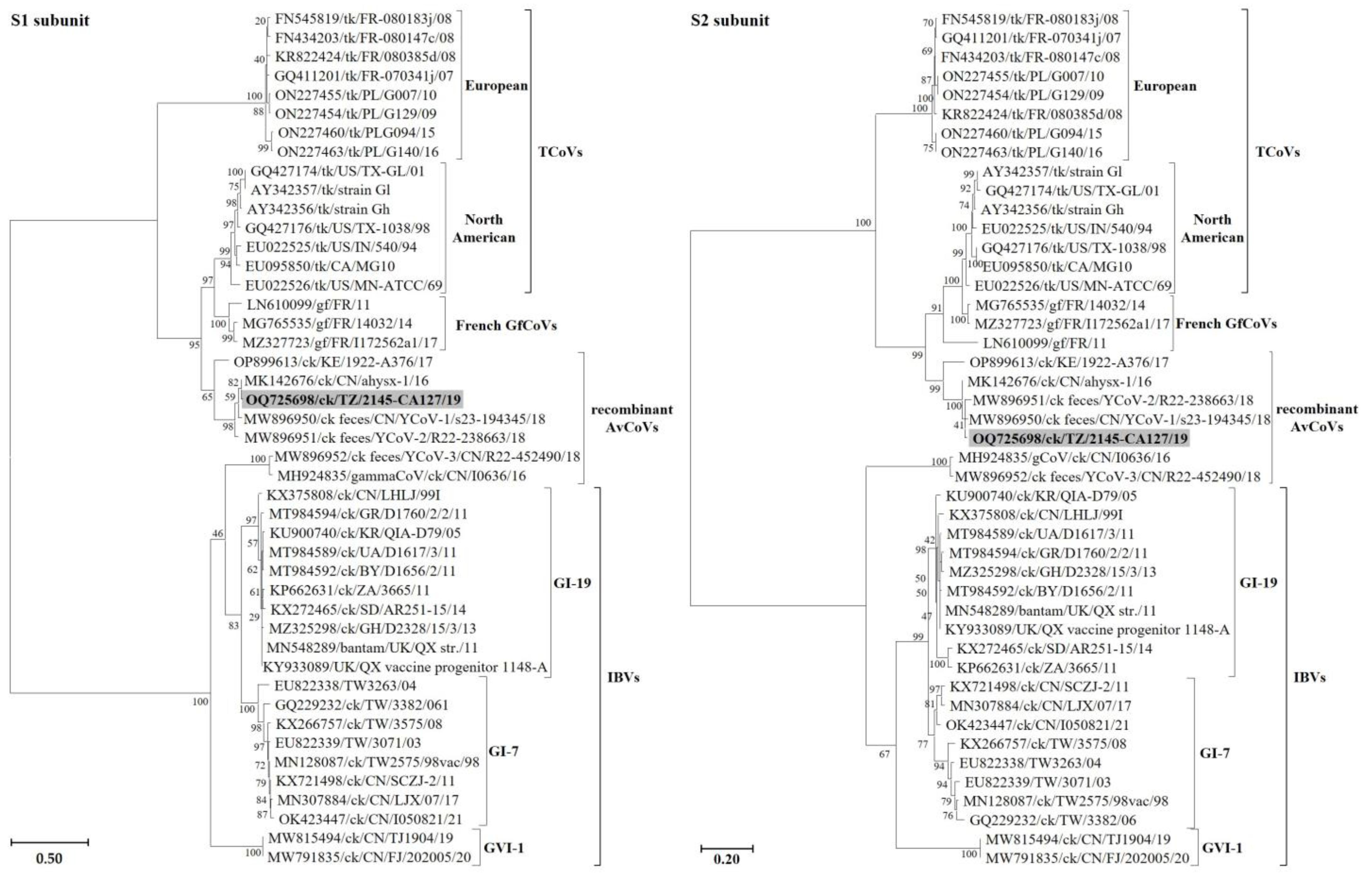 Genes 14 01852 g003 Genes 14 01852 g003