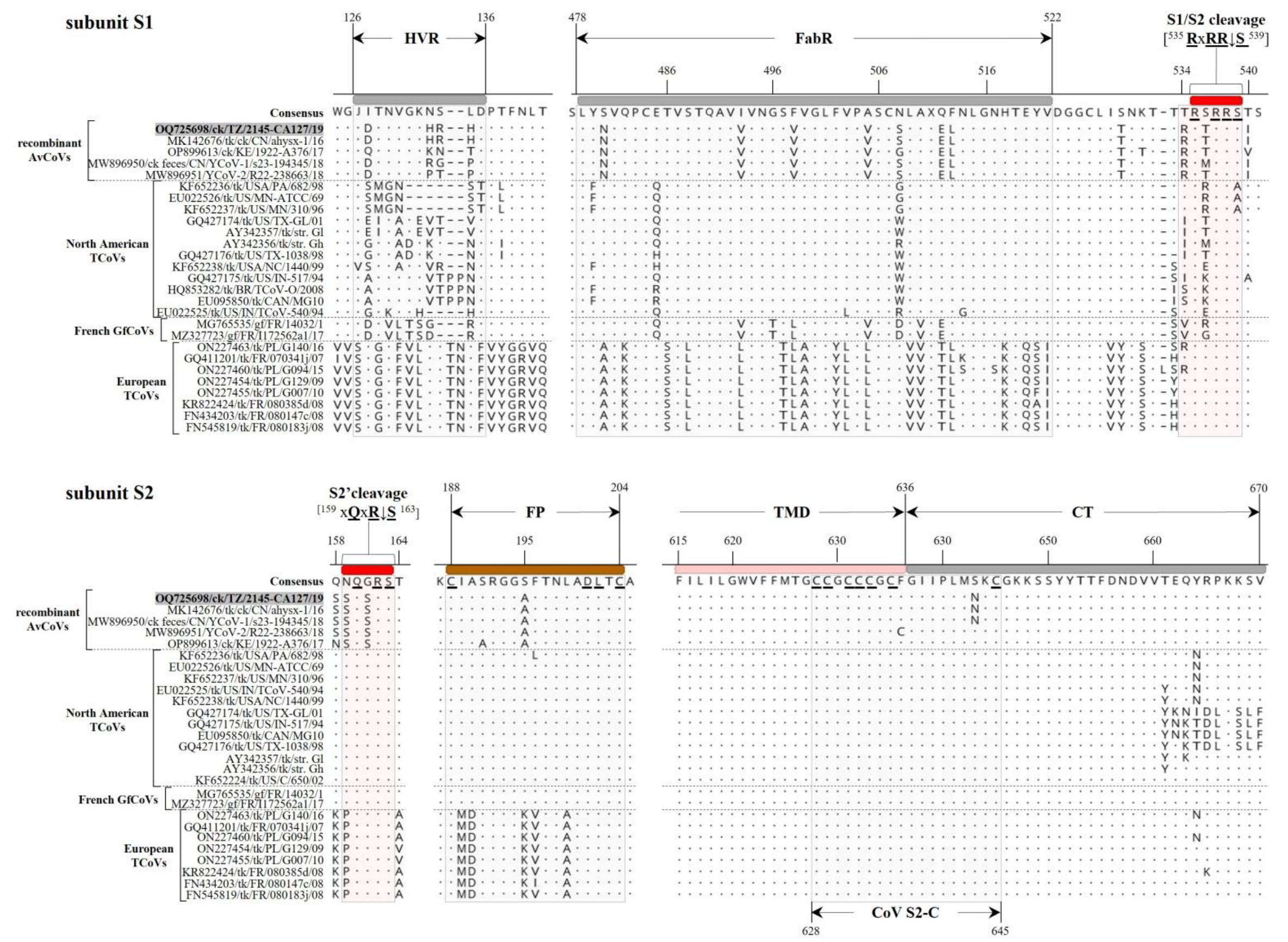 Genes 14 01852 g004 Genes 14 01852 g004