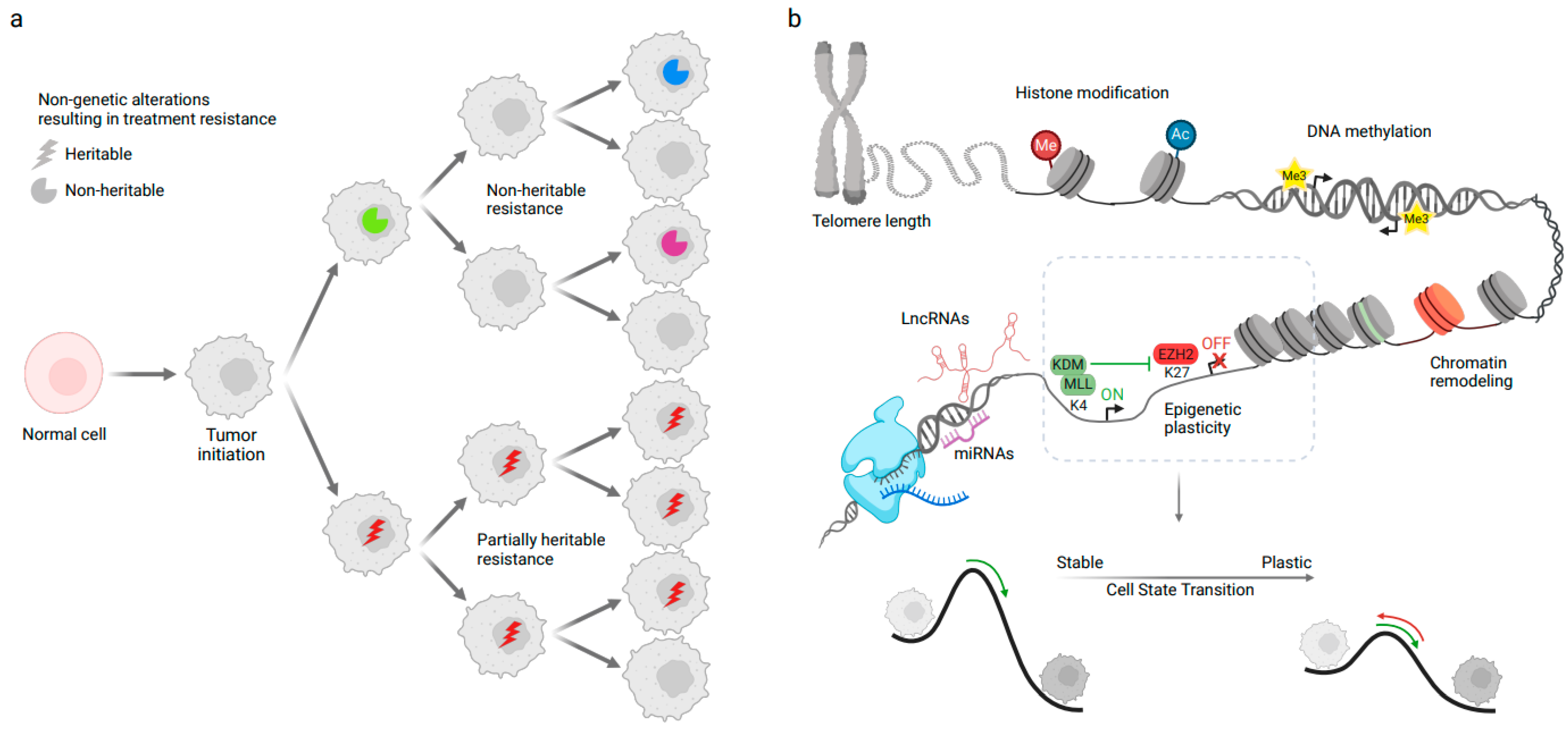 Genes 14 01856 g002