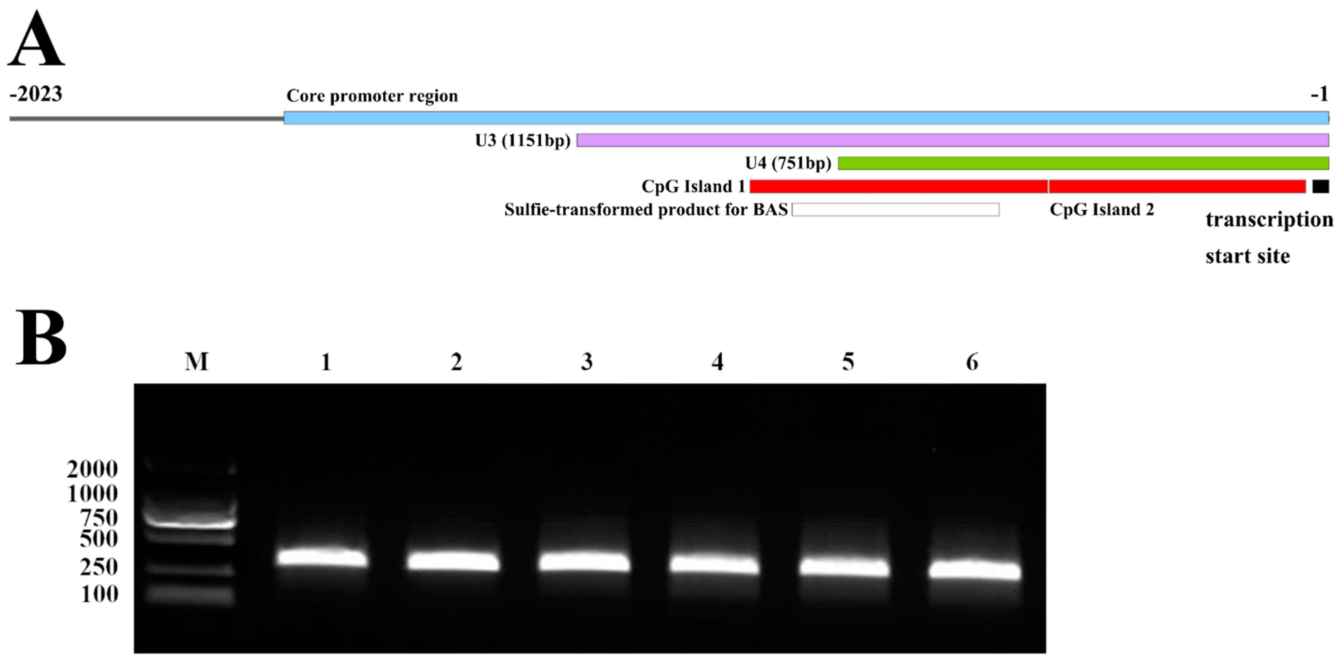 Genes 14 01873 g005