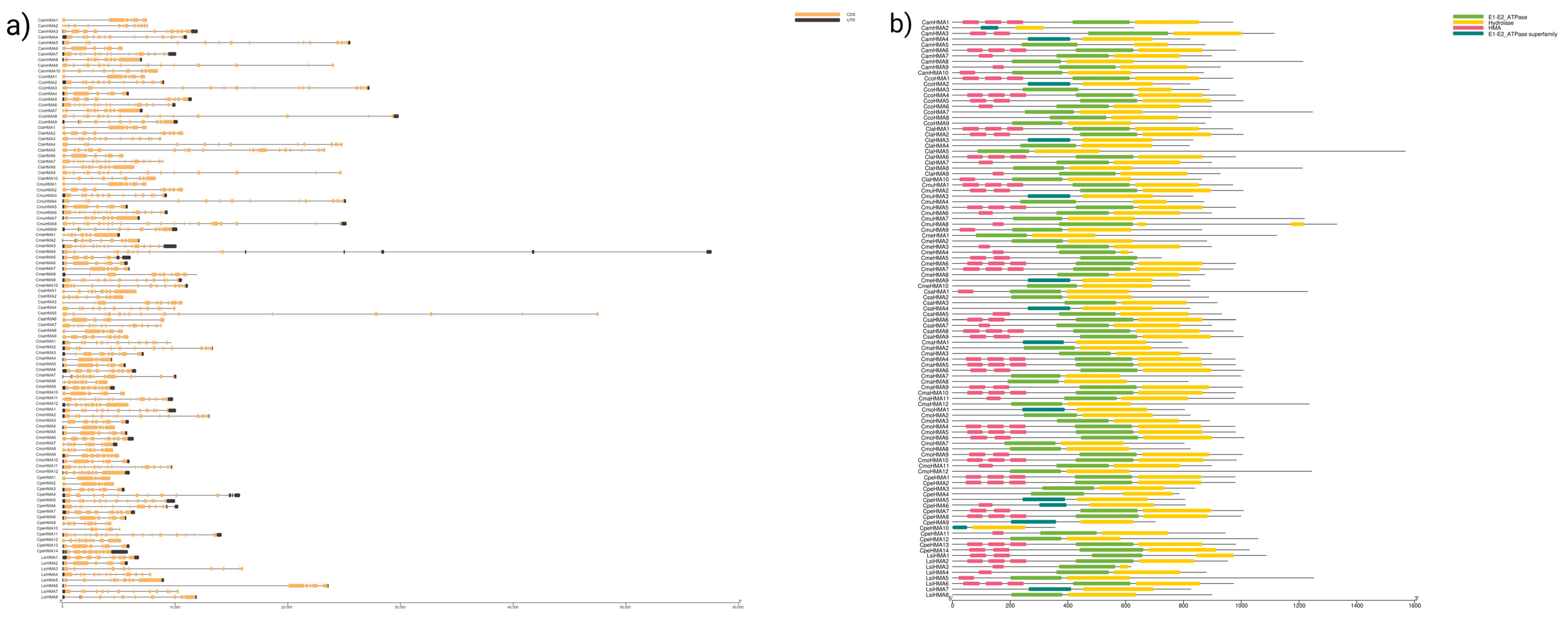 Genes 14 01877 g002