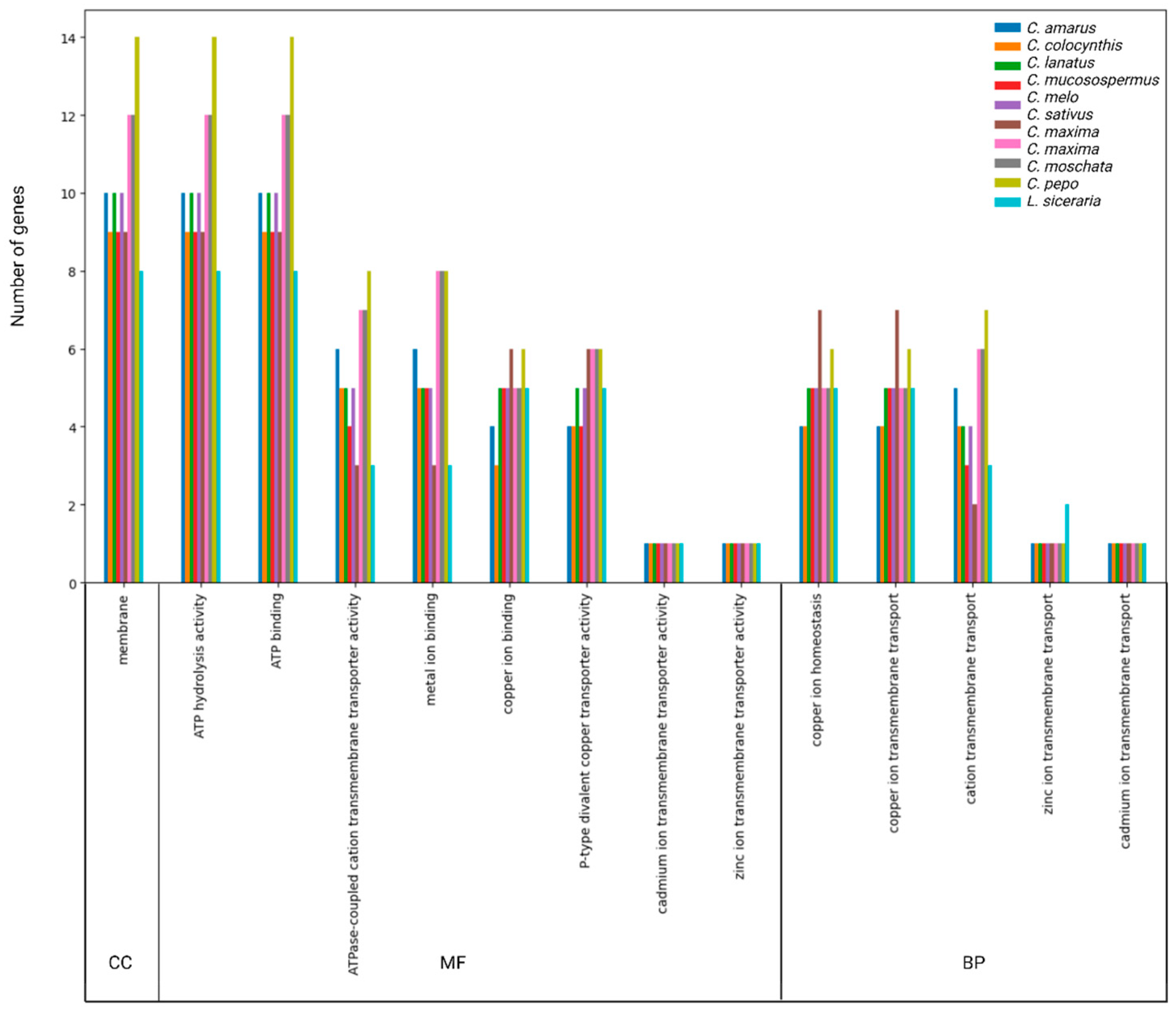 Genes 14 01877 g006