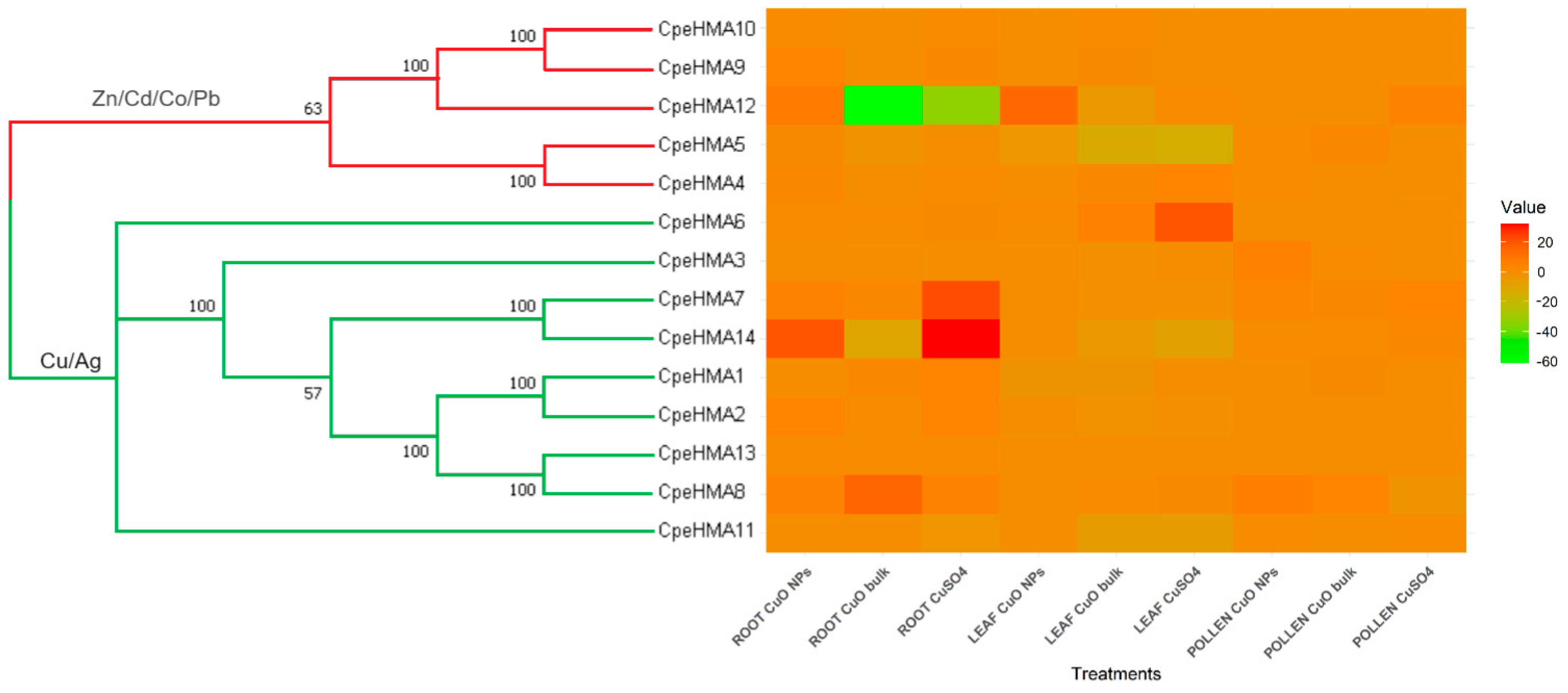 Genes 14 01877 g007