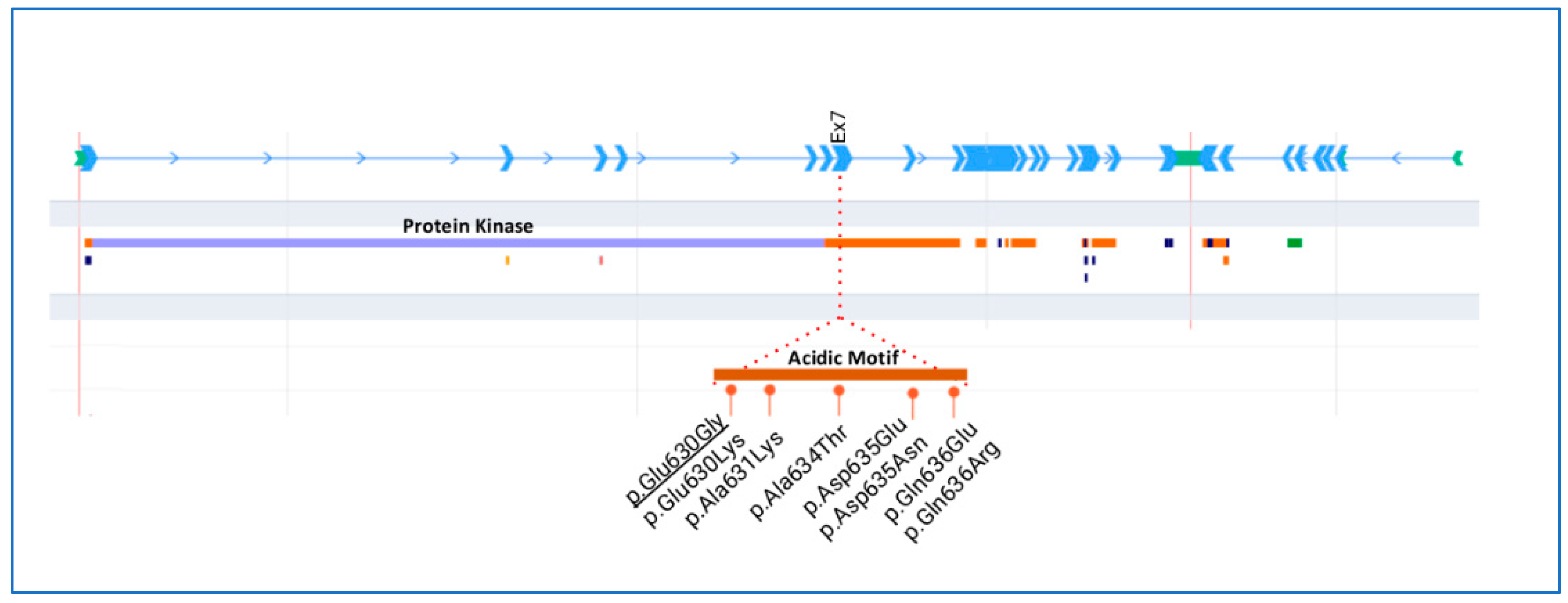 Genes 14 01878 g003