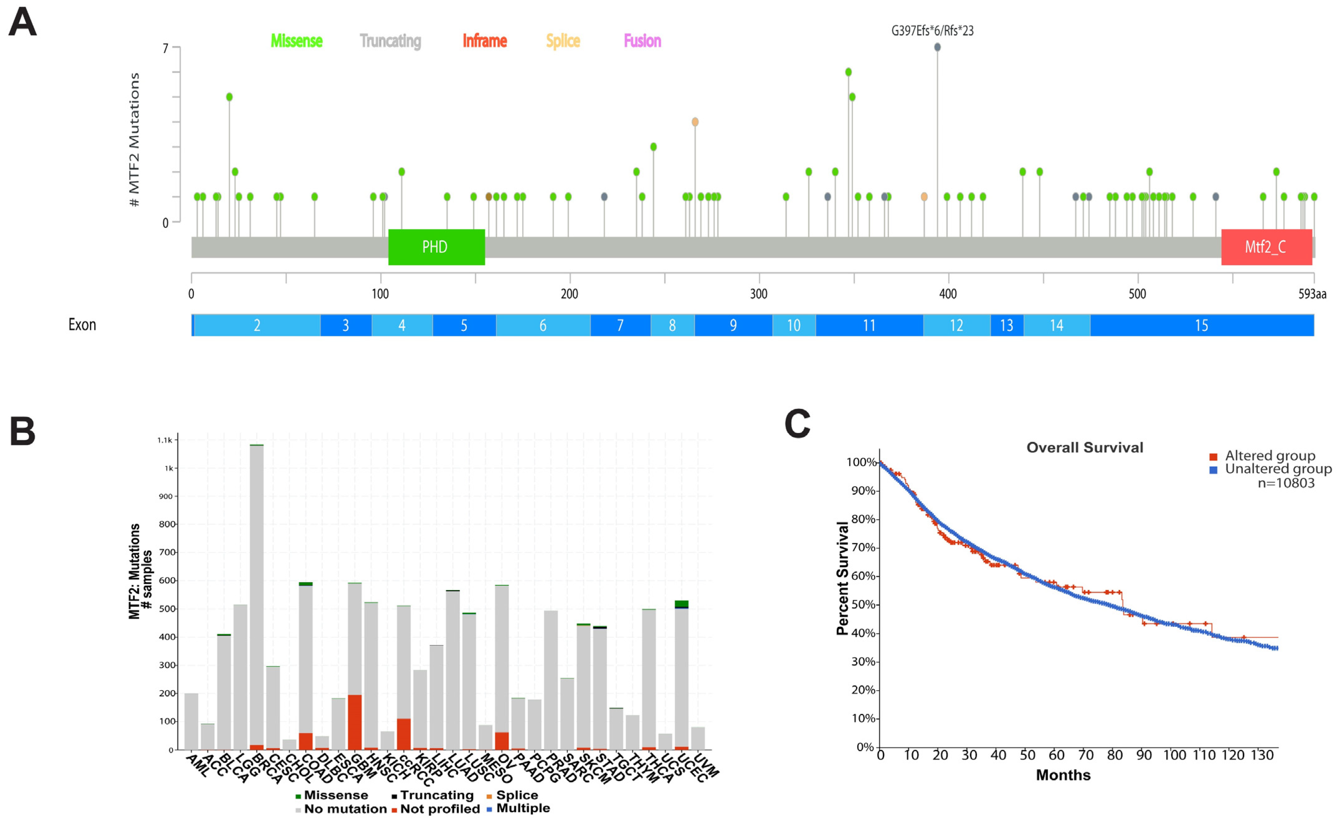 Genes 14 01879 g005