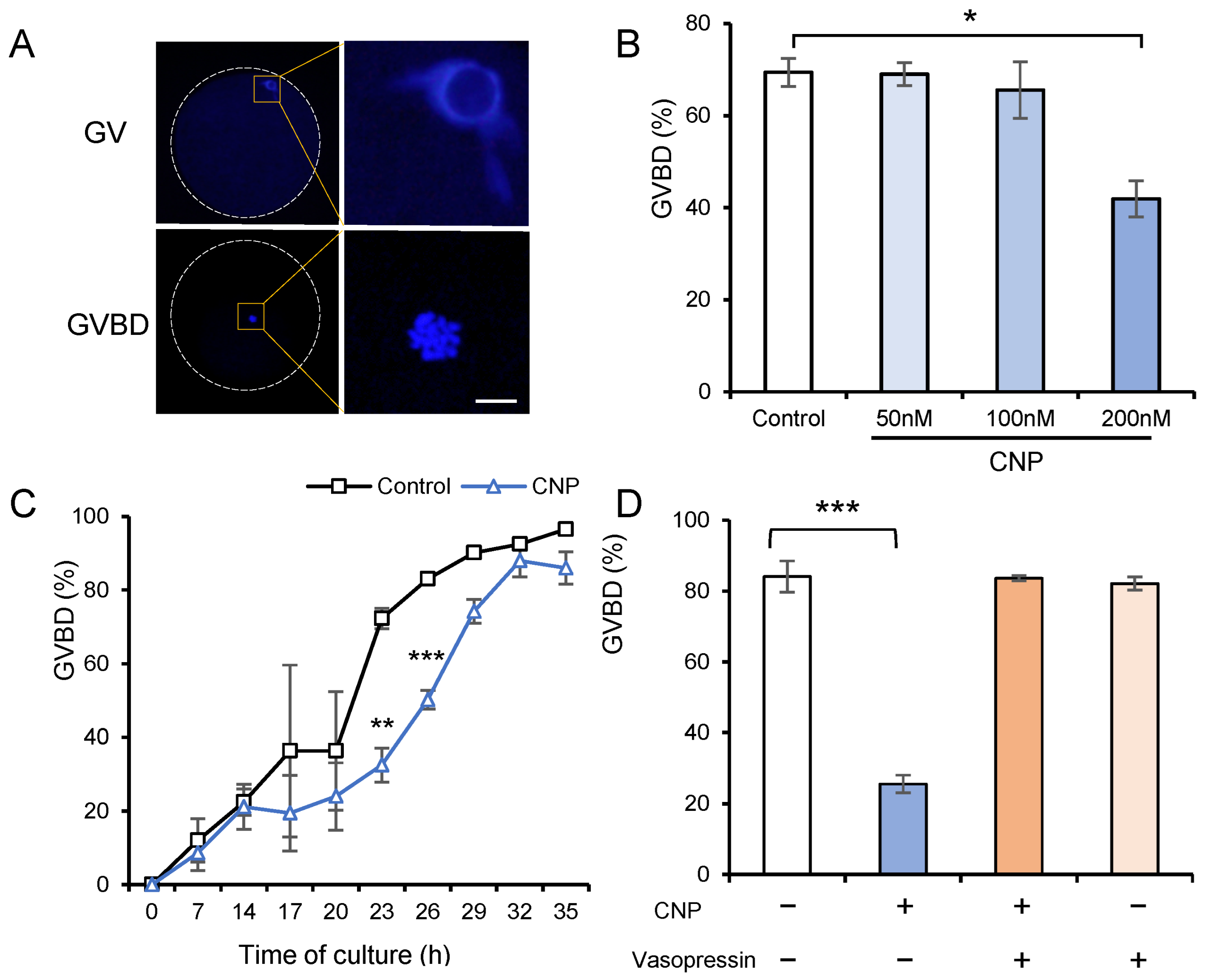 Genes 14 01885 g002