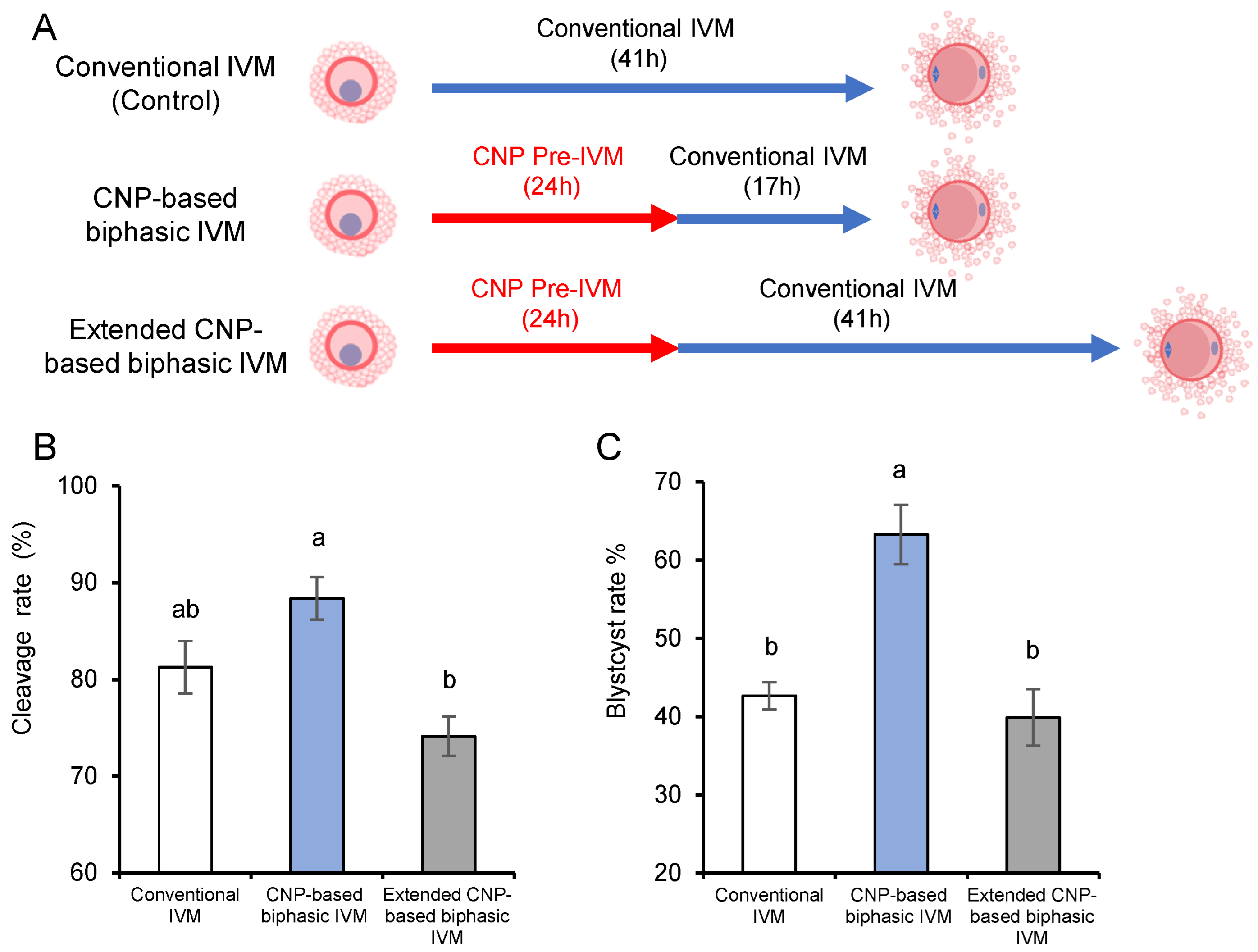 Genes 14 01885 g003