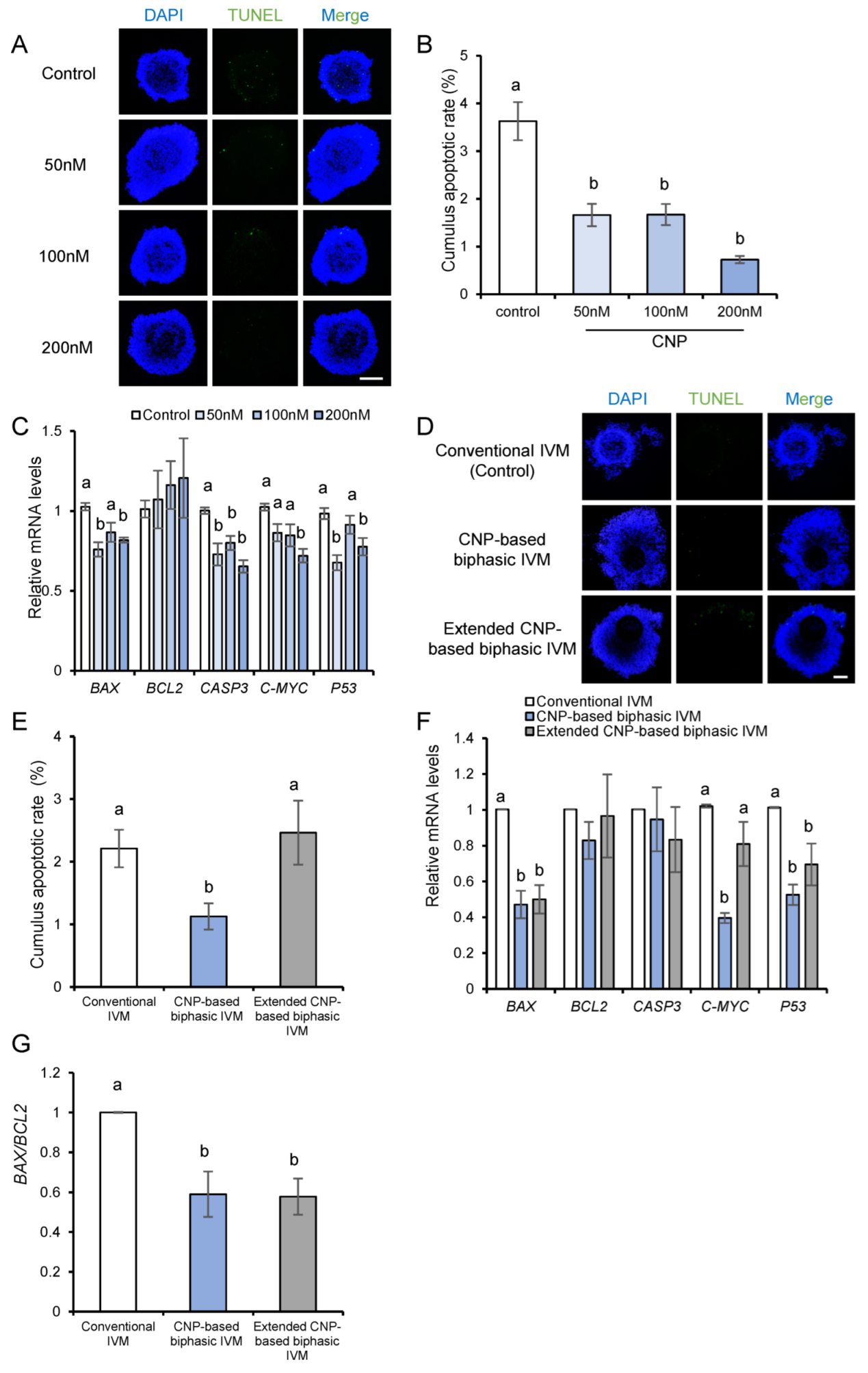 Genes 14 01885 g005