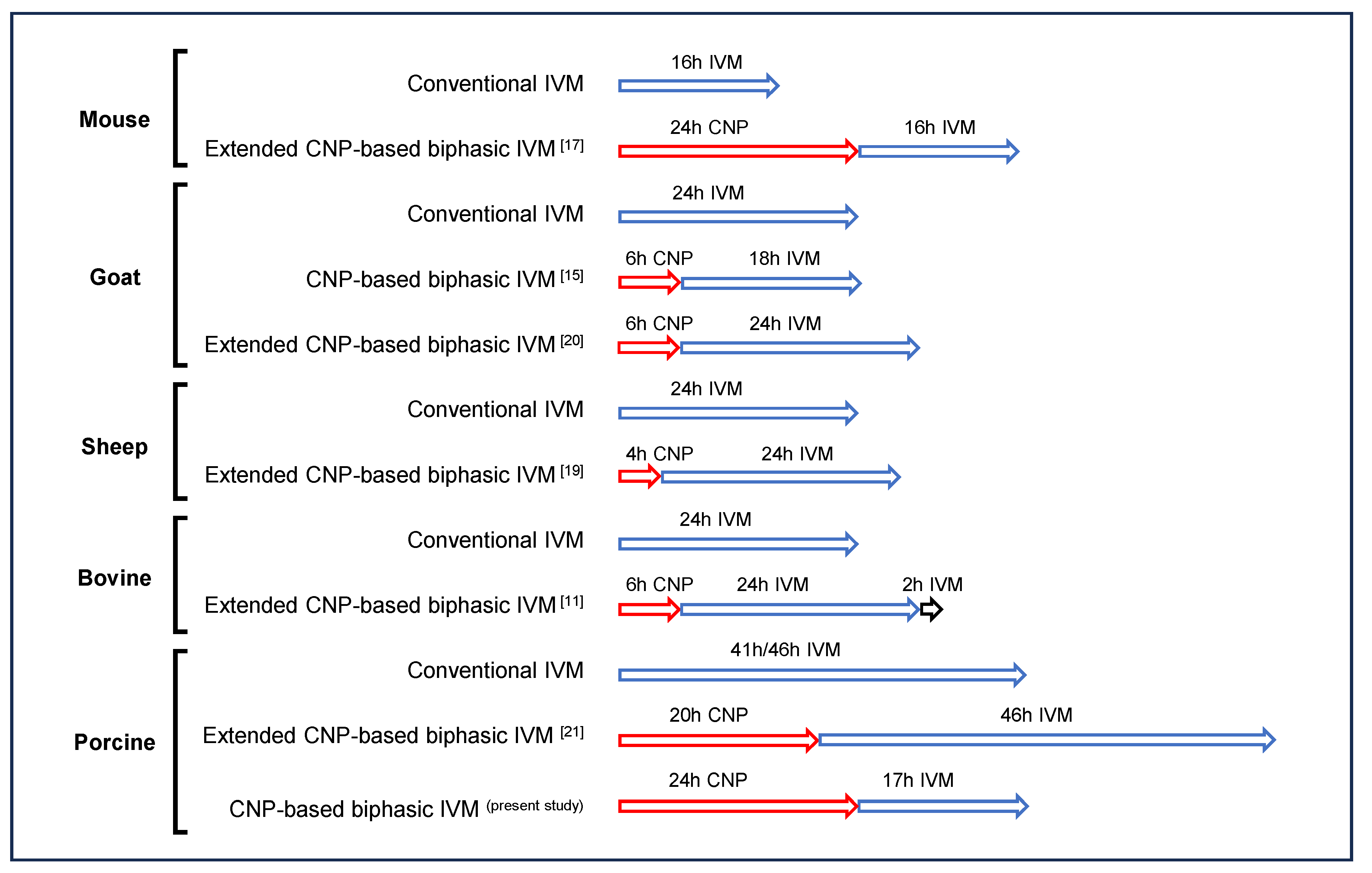 Genes 14 01885 g007