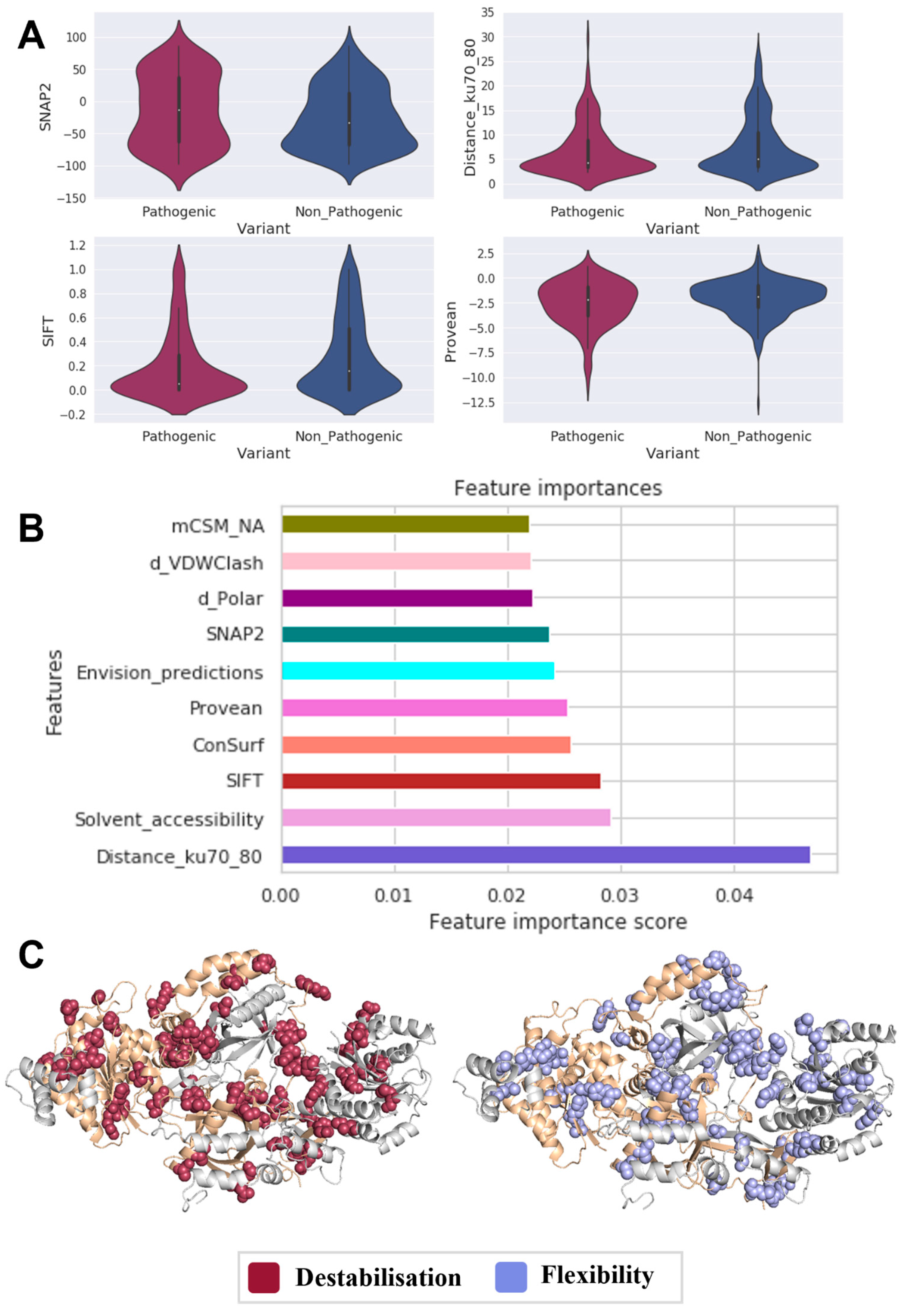 Genes 14 01890 g001