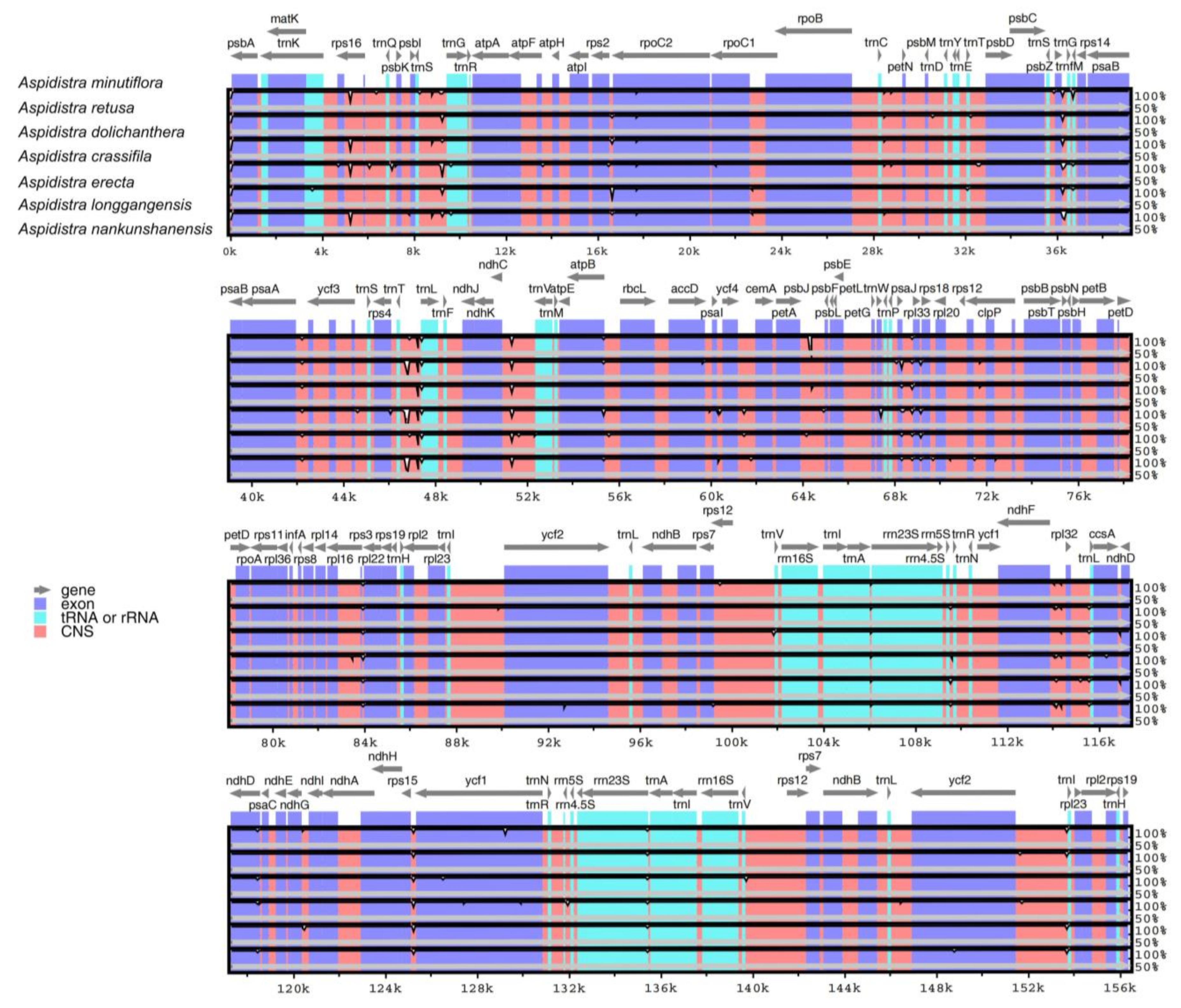 Genes 14 01894 g003