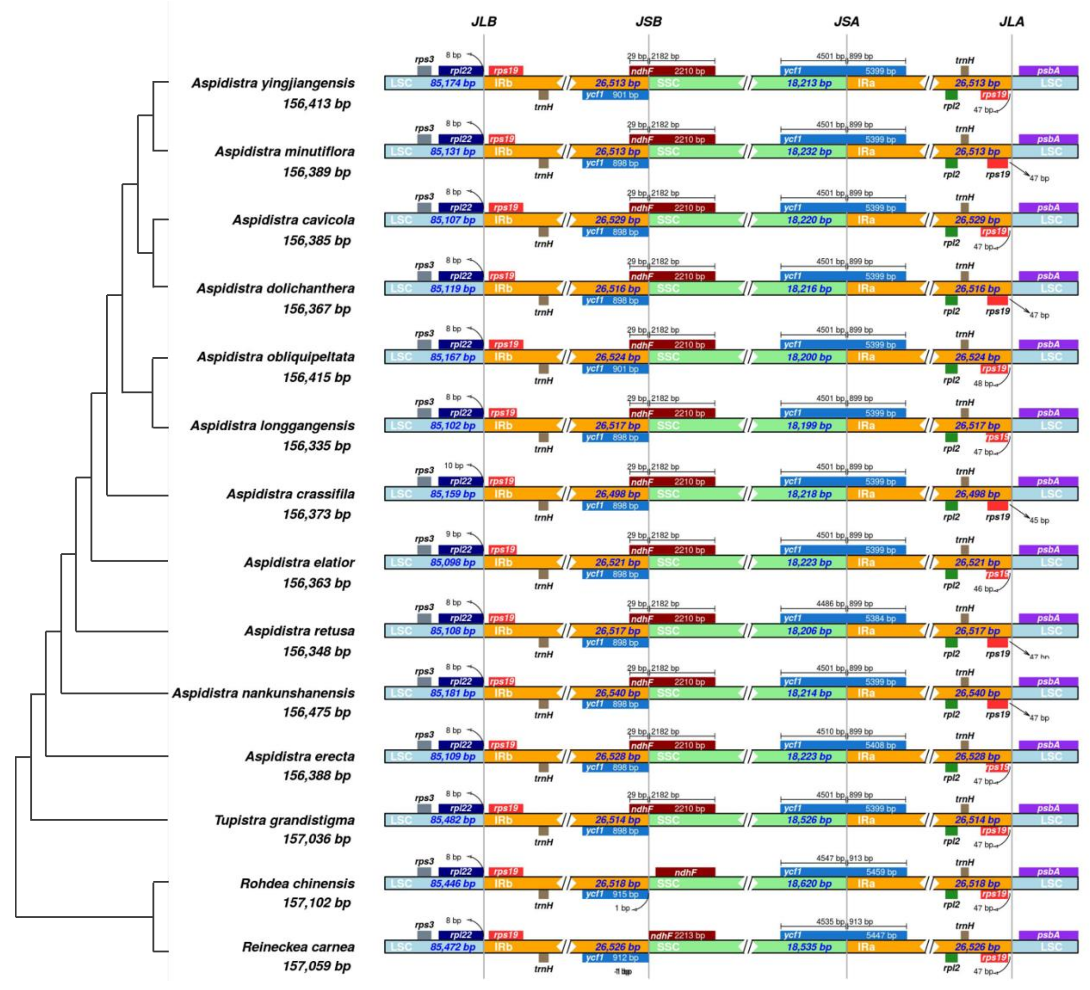 Genes 14 01894 g005