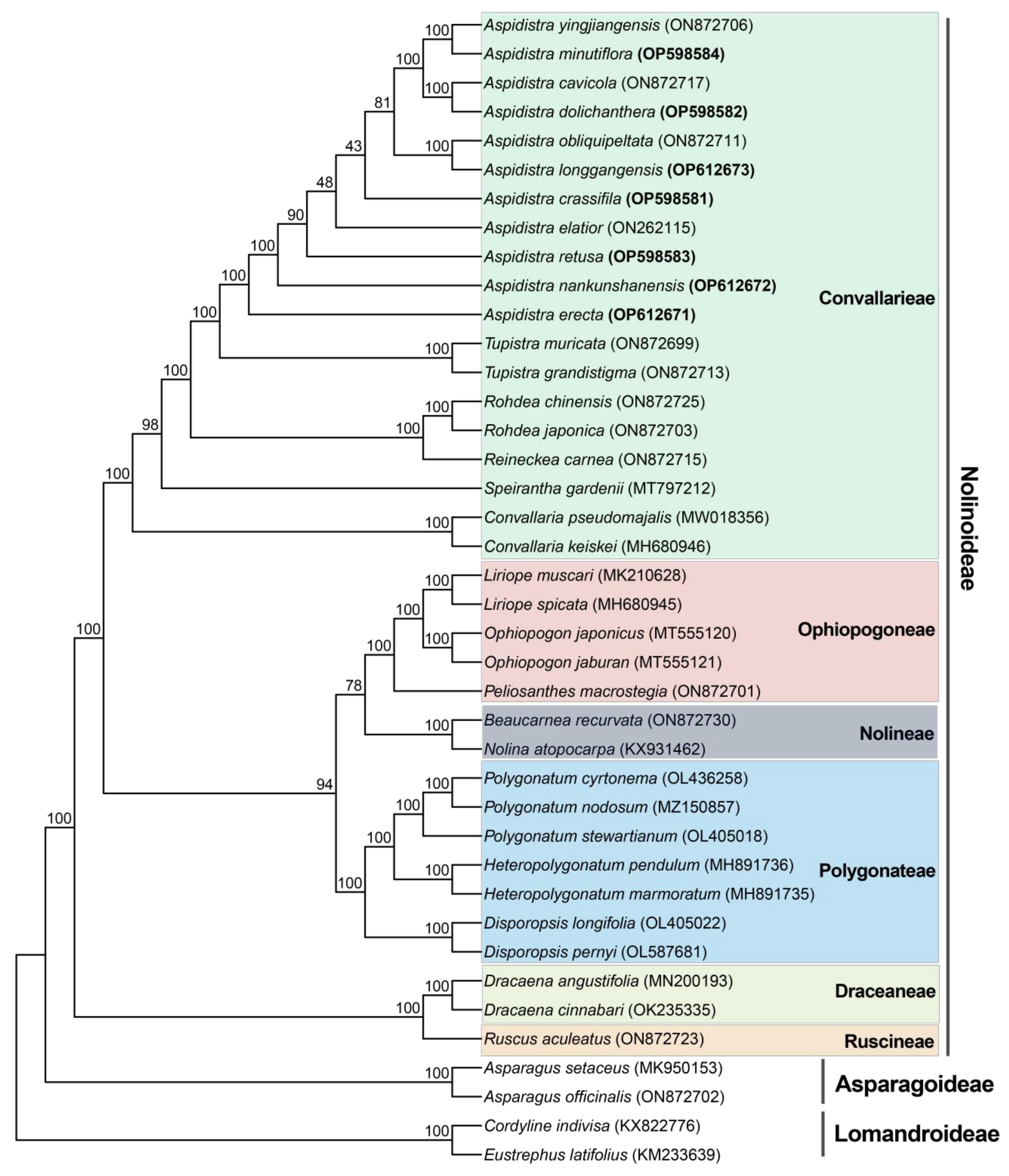 Genes 14 01894 g006