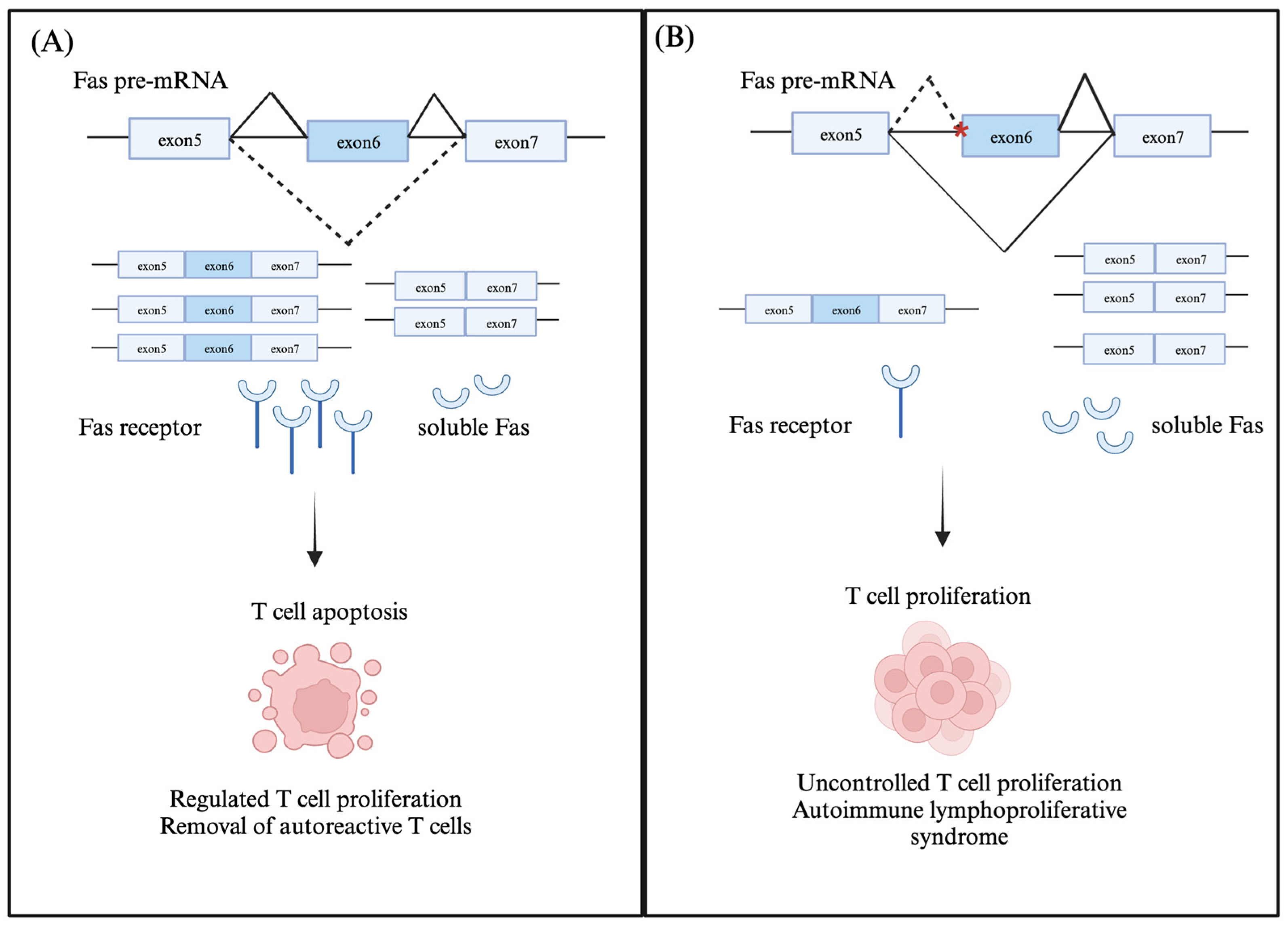 Genes 14 01896 g001