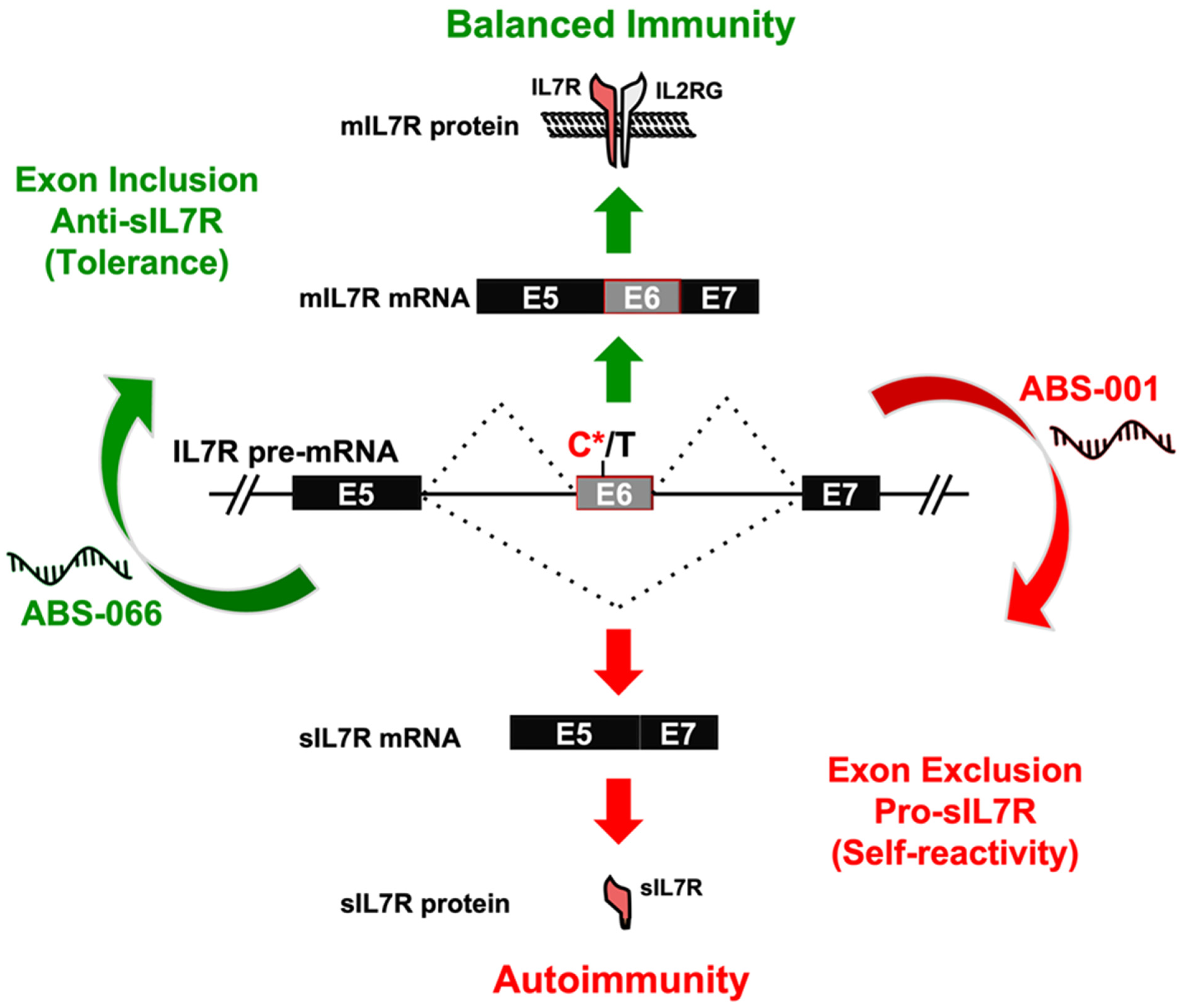 Genes 14 01896 g002