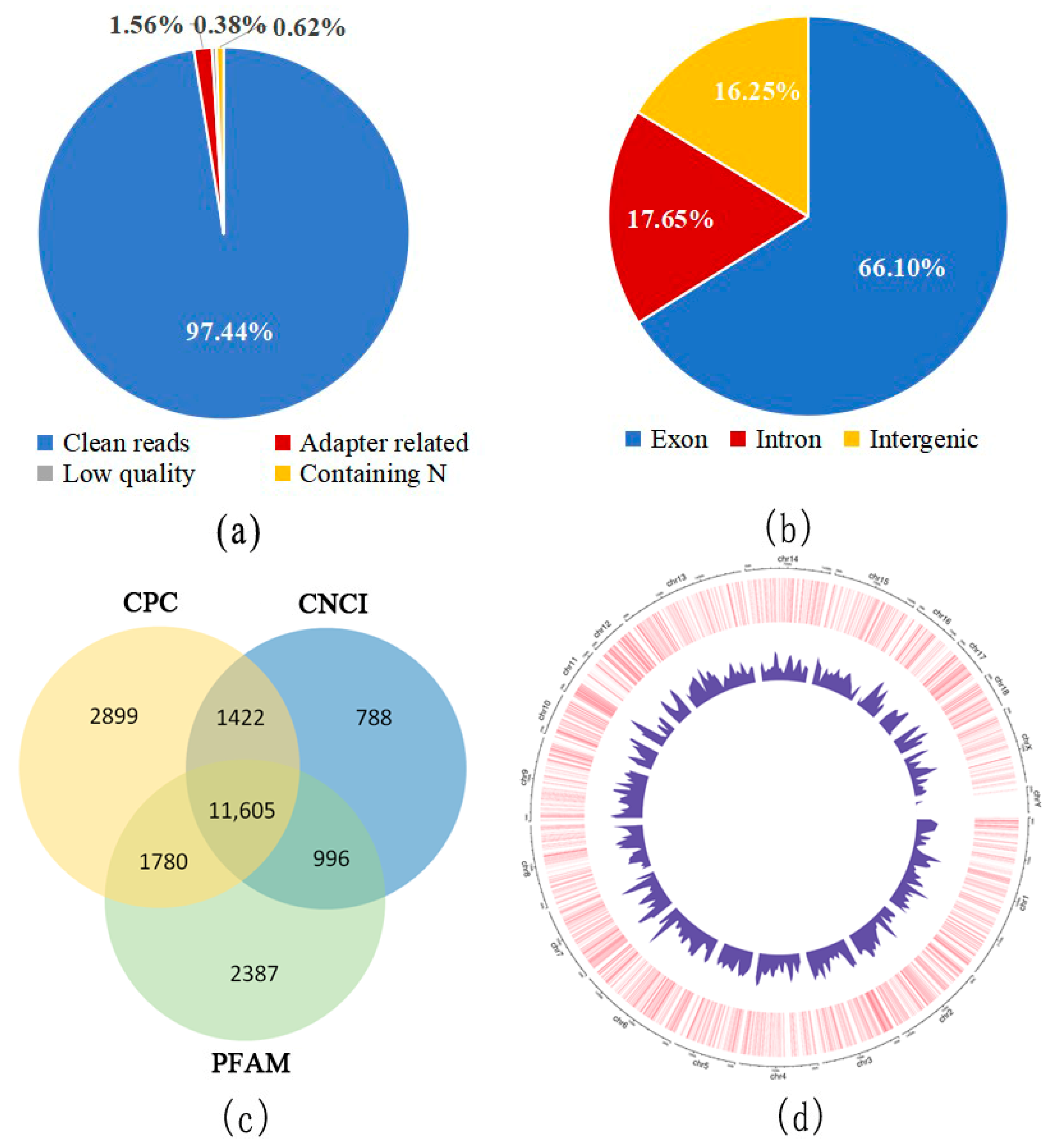 Genes 14 01901 g002 Genes 14 01901 g002