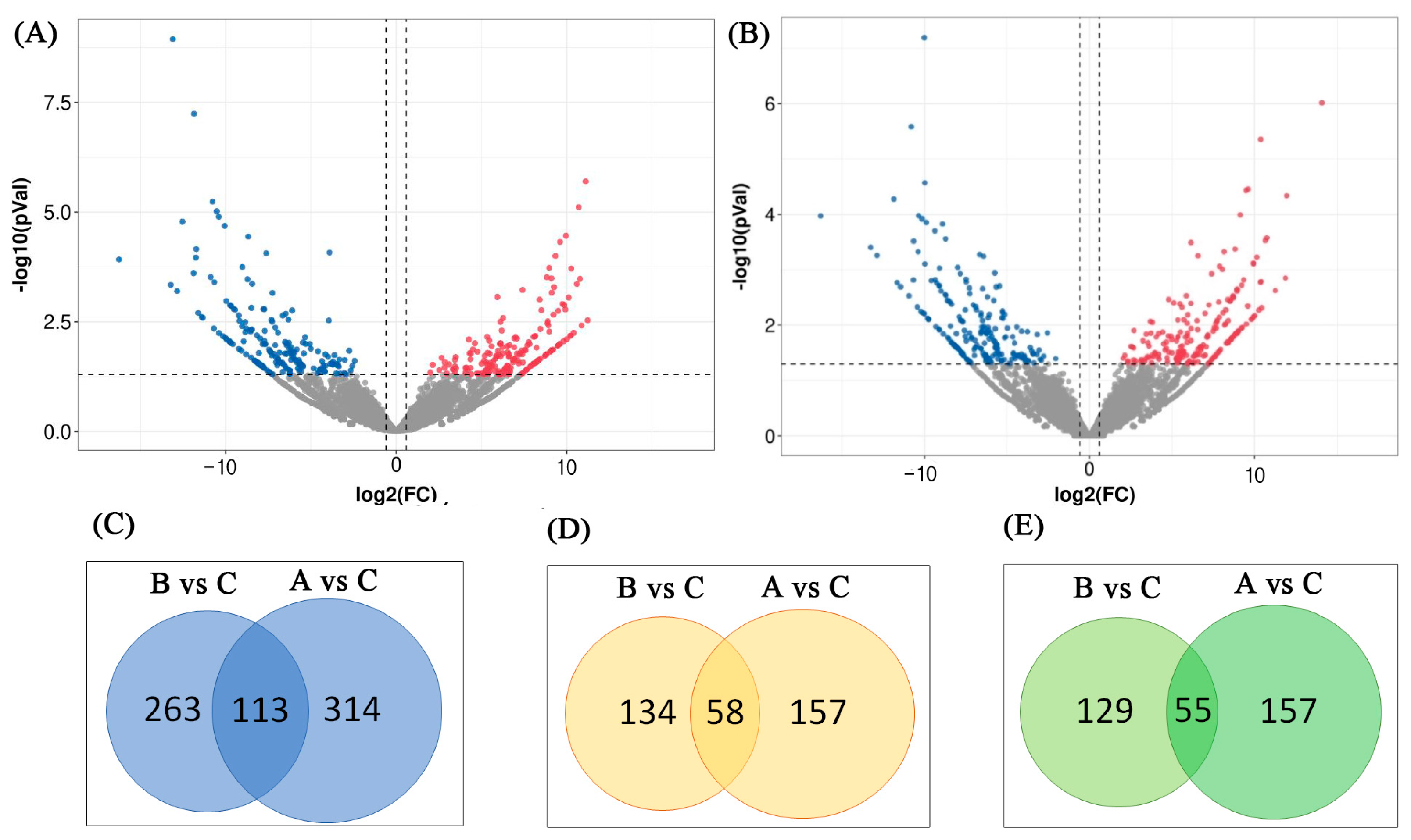 Genes 14 01901 g004 Genes 14 01901 g004