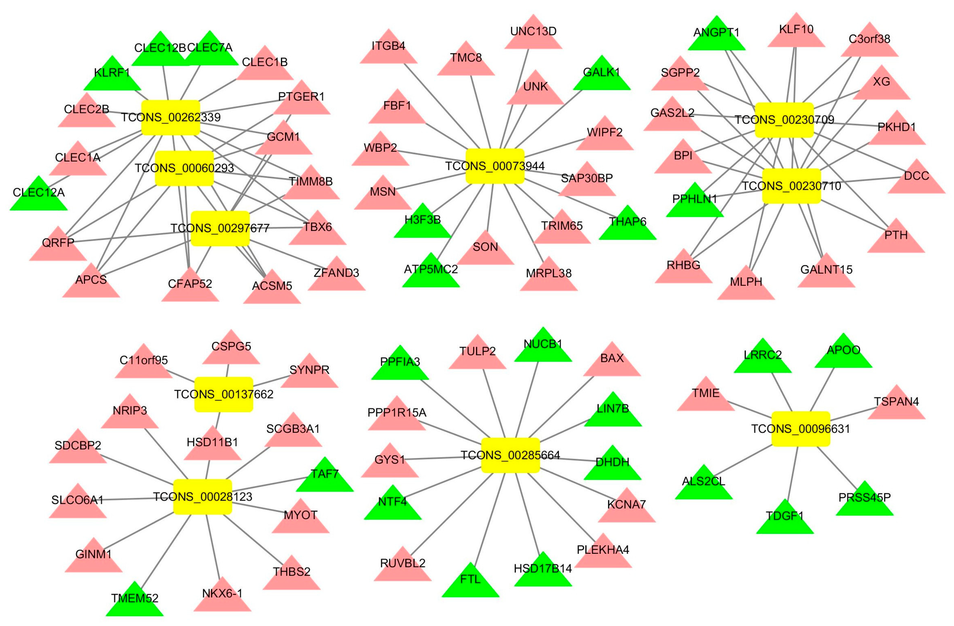 Genes 14 01901 g007 Genes 14 01901 g007