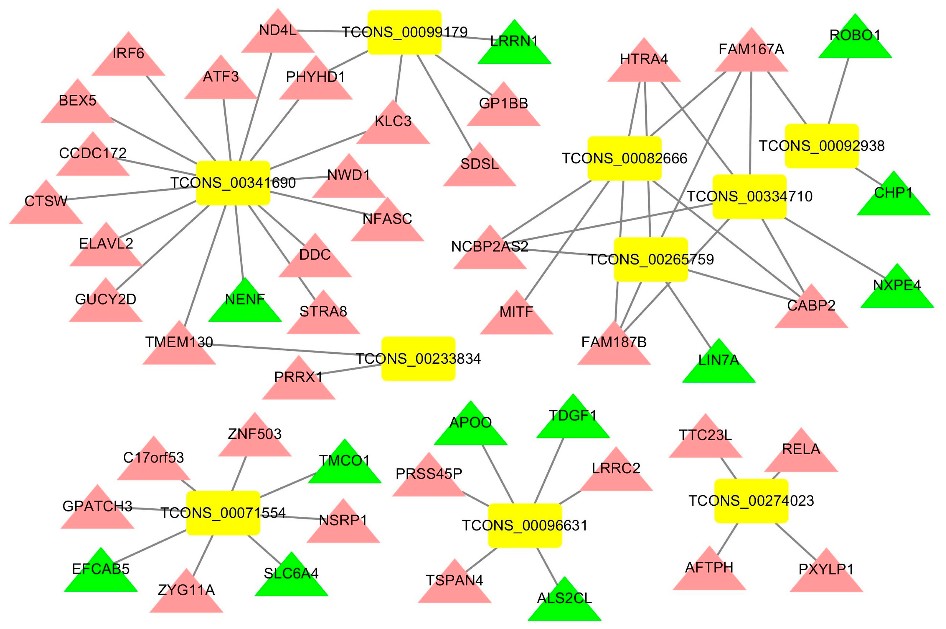 Genes 14 01901 g008 Genes 14 01901 g008