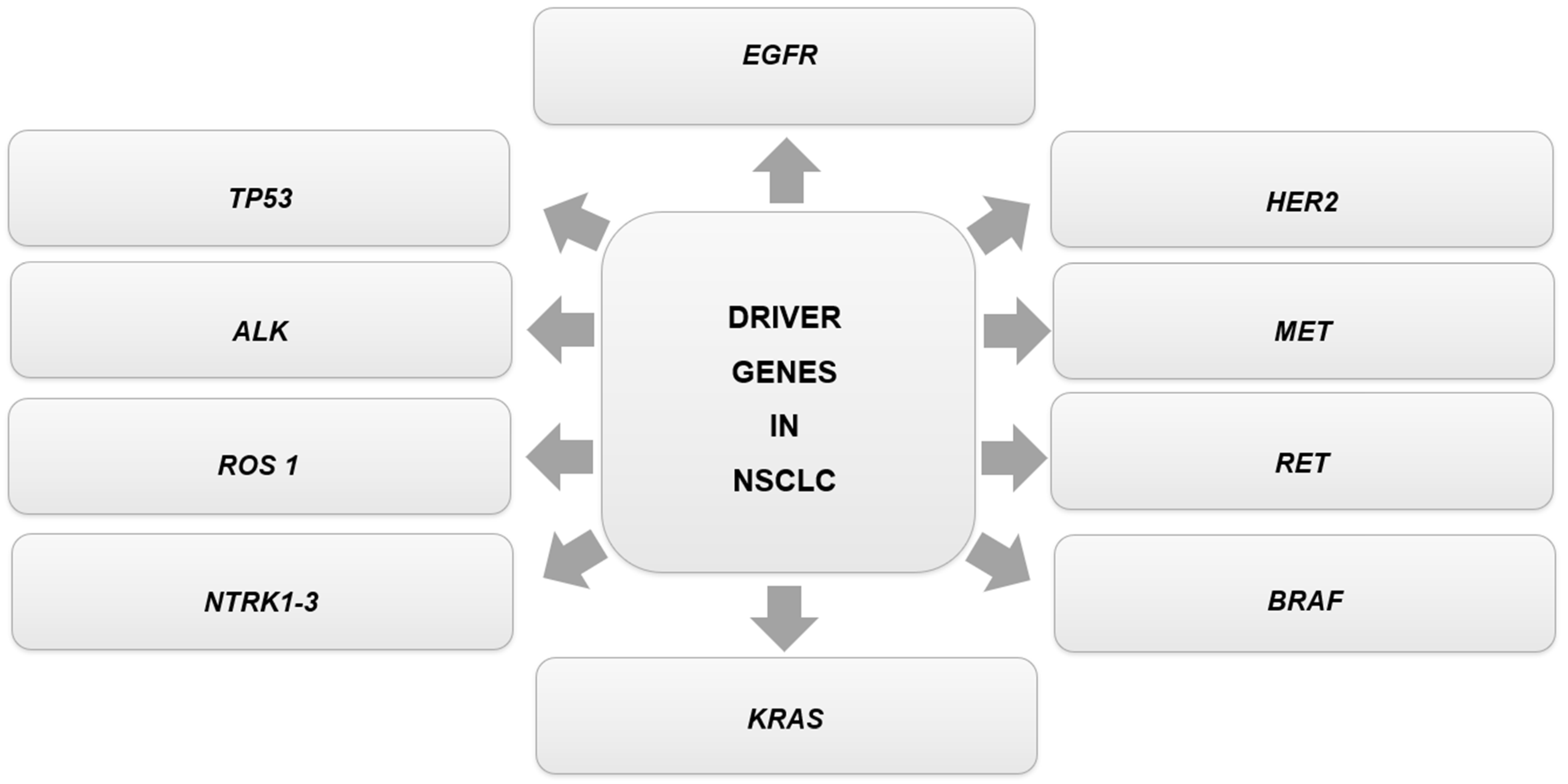 Genes 14 01906 g002 Genes 14 01906 g002