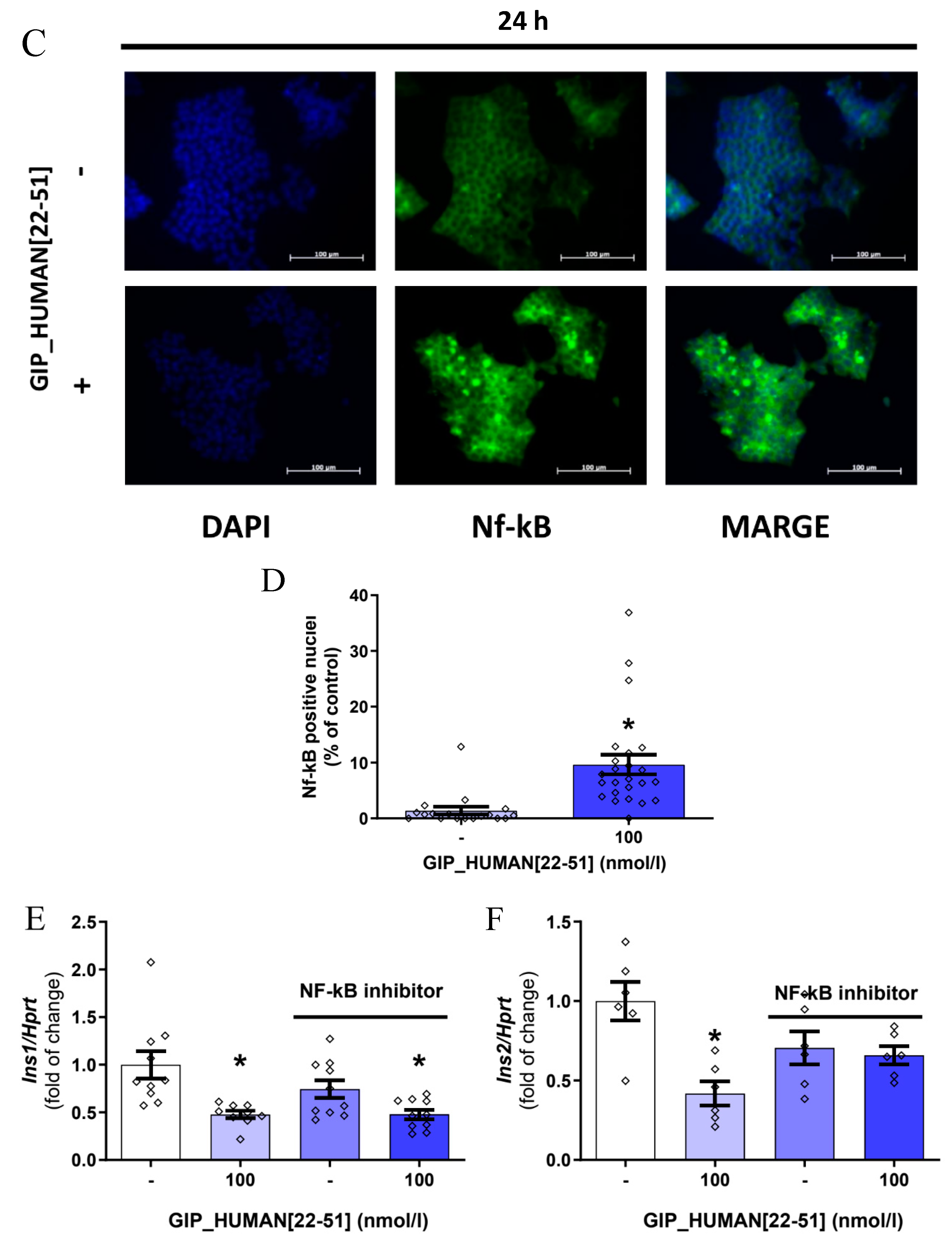 Genes 14 01910 g002b