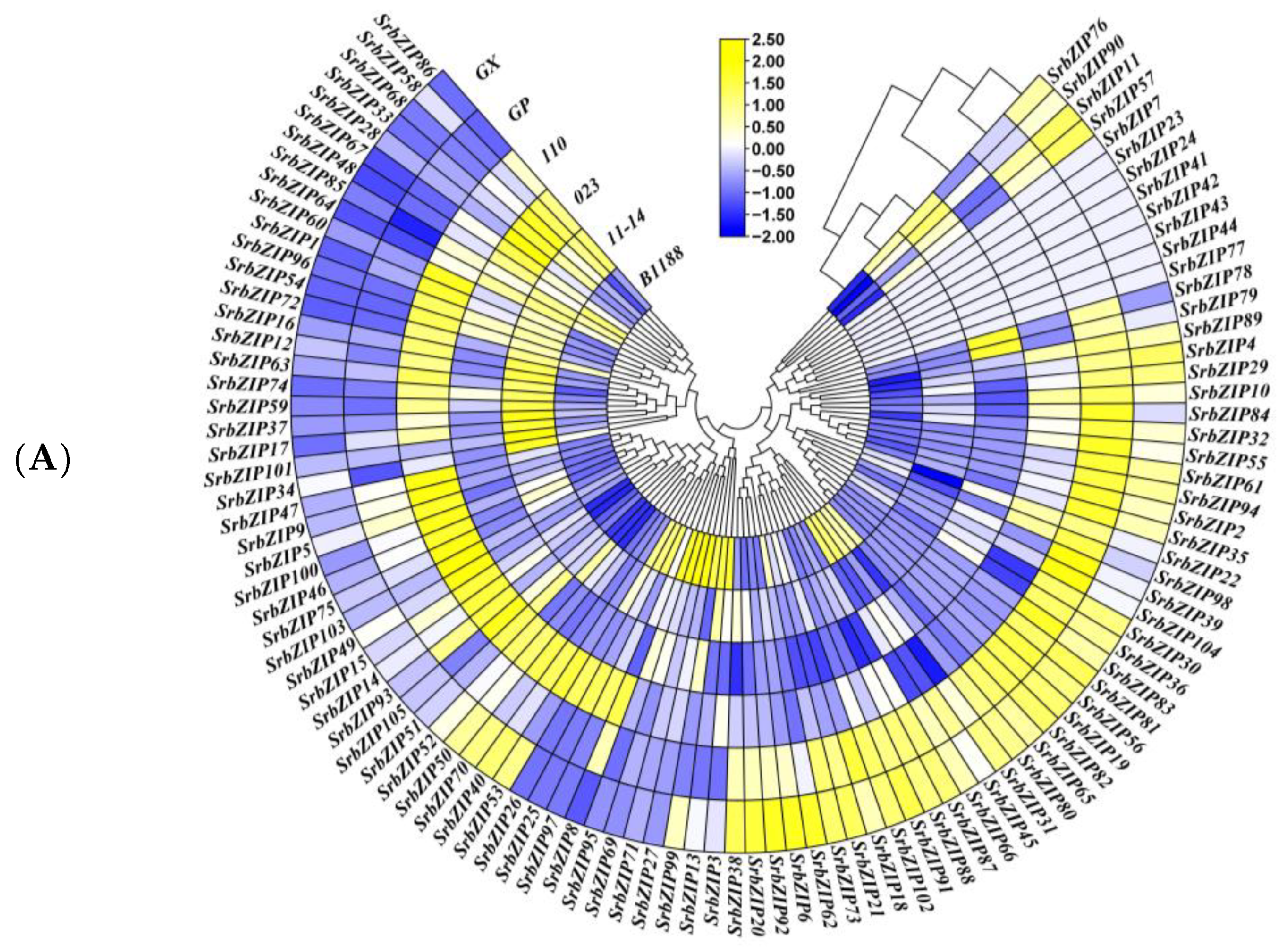 Genes 14 01918 g006a