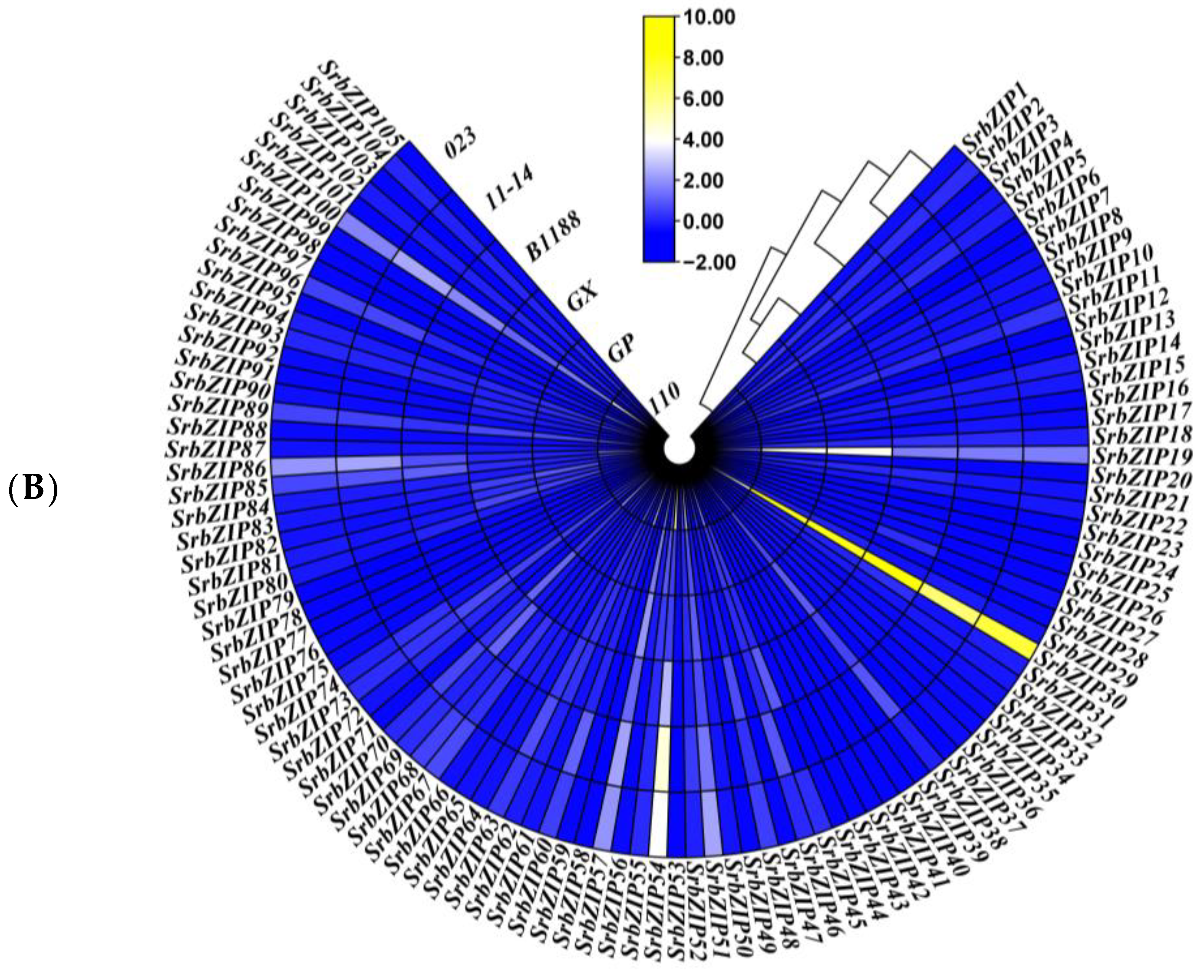 Genes 14 01918 g006b