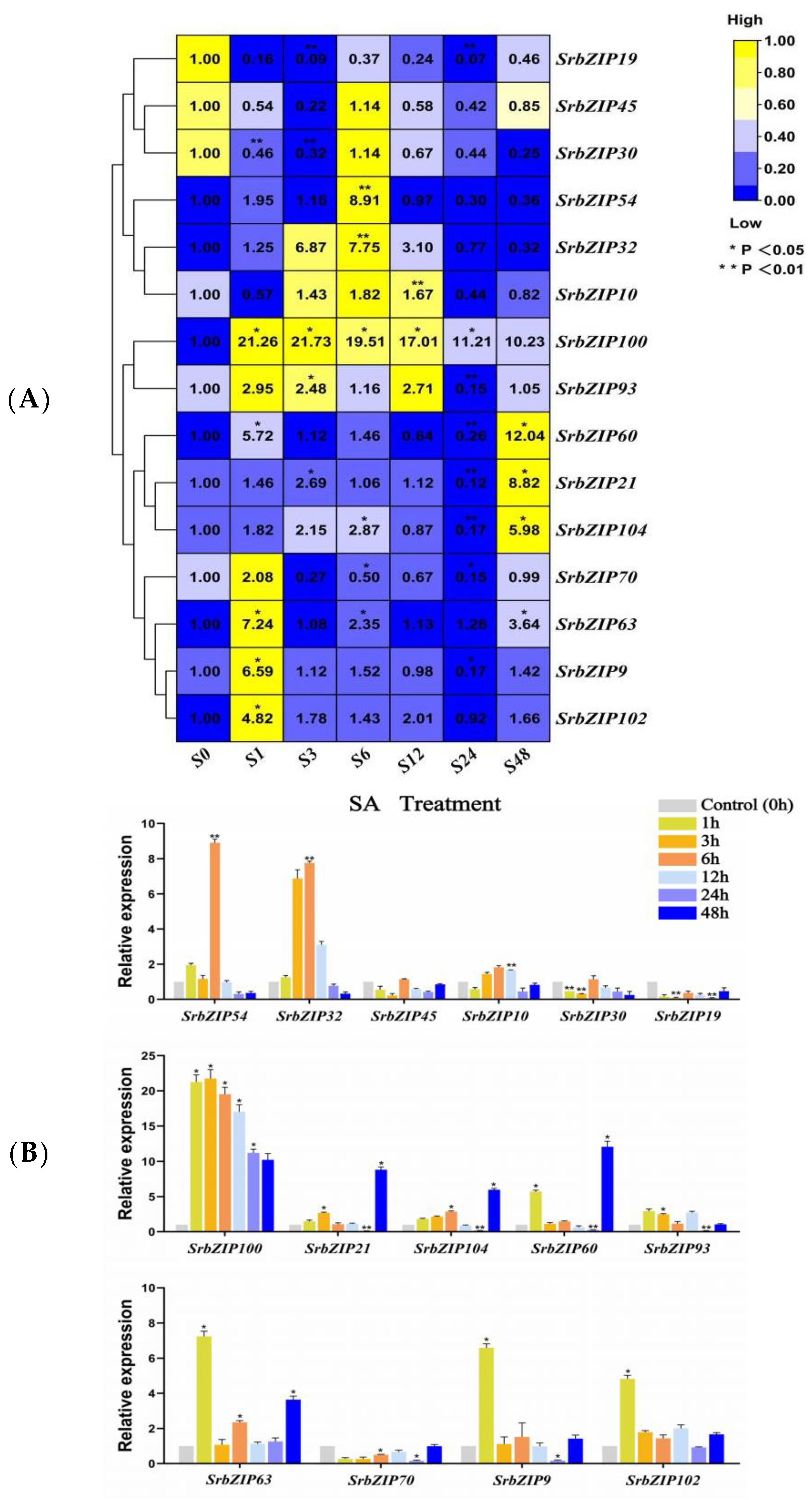 Genes 14 01918 g009