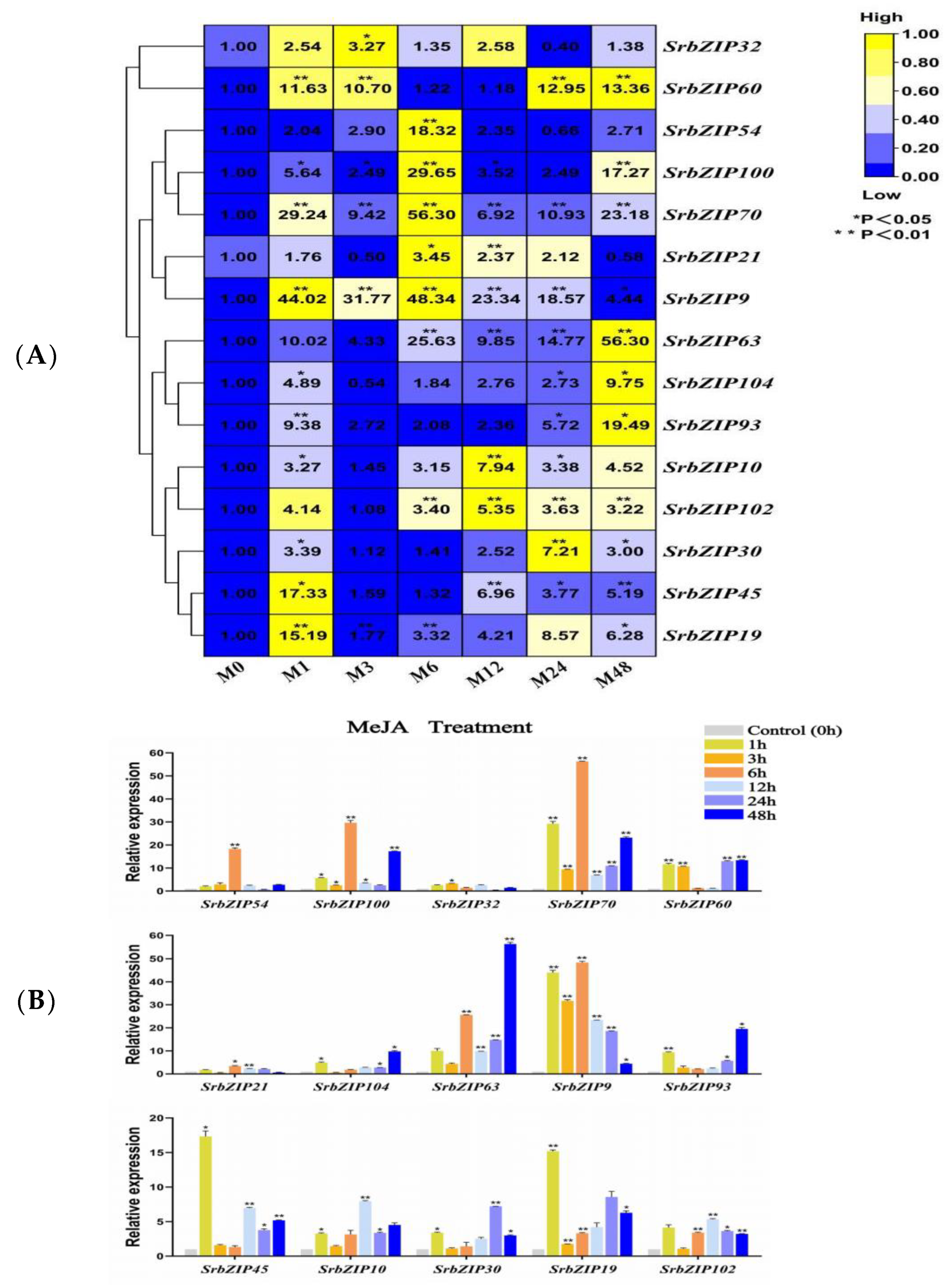 Genes 14 01918 g010