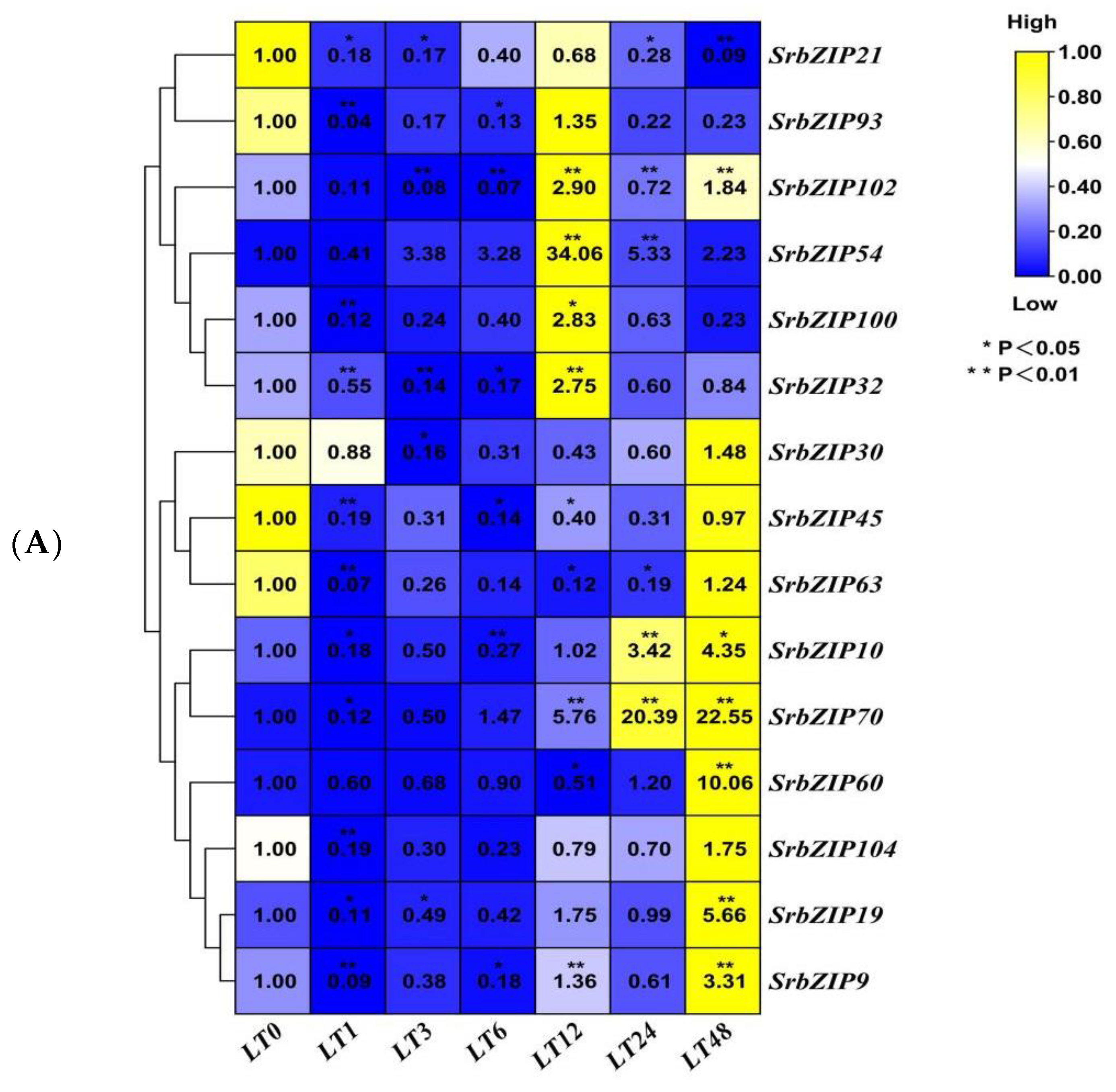 Genes 14 01918 g013a