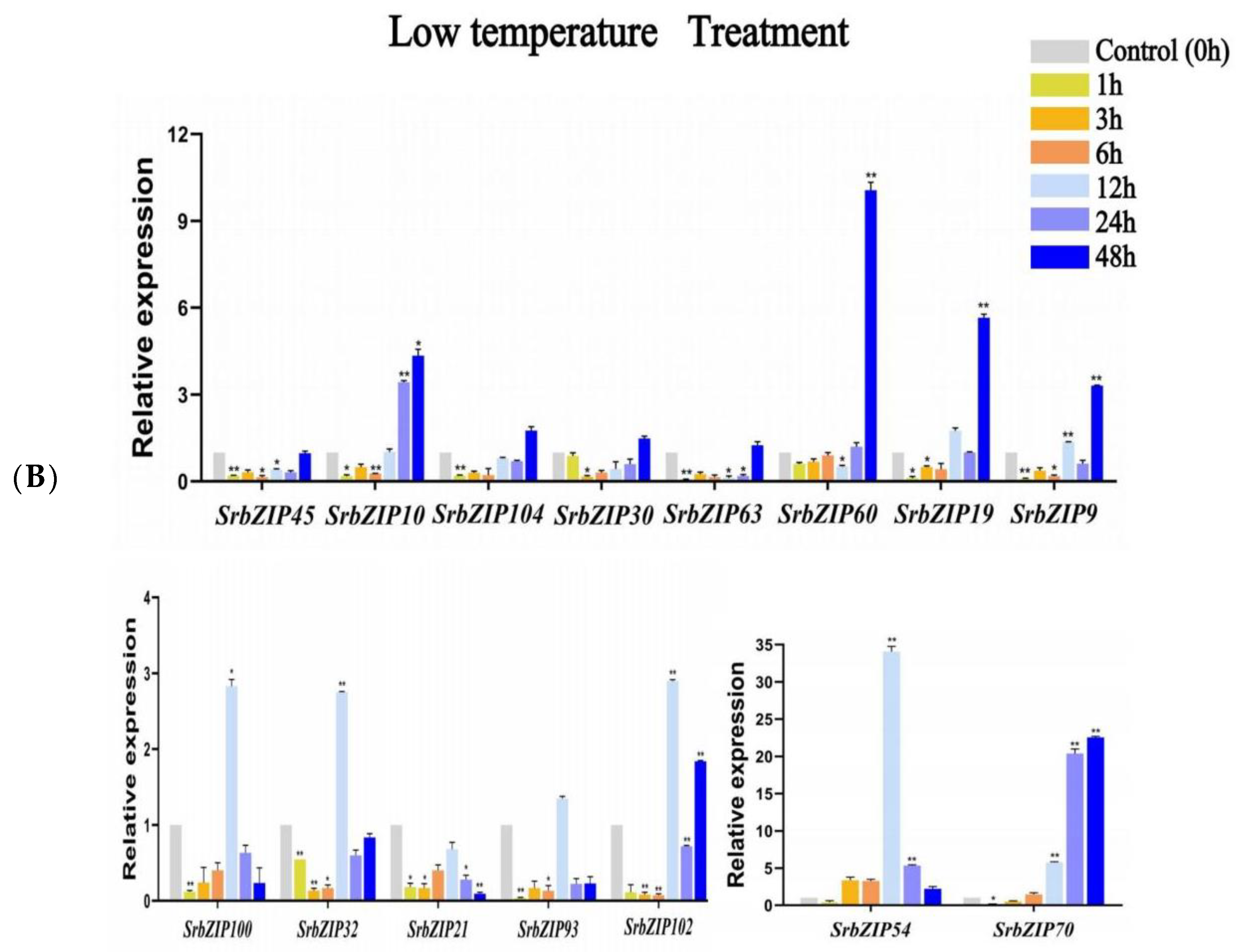 Genes 14 01918 g013b