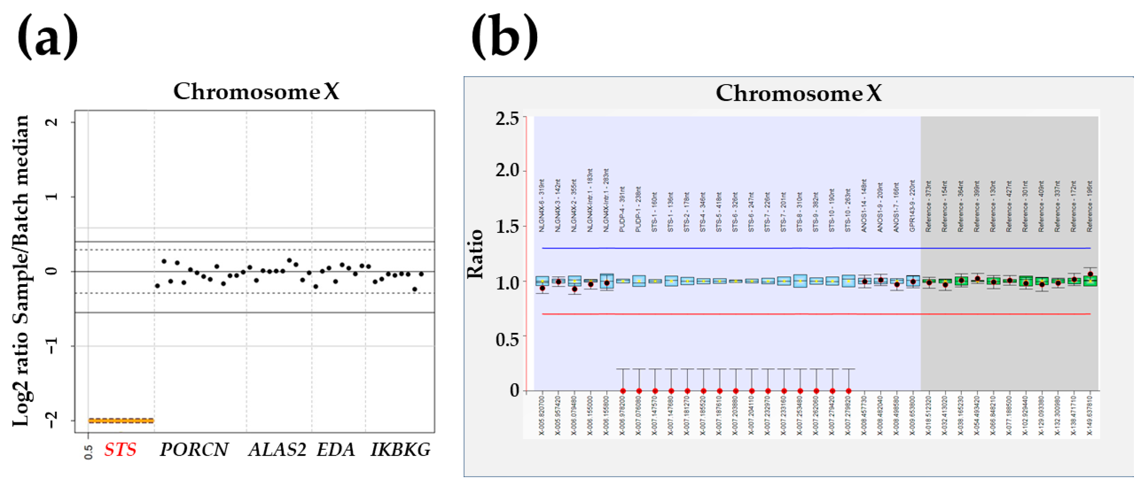 Genes 14 01925 g002