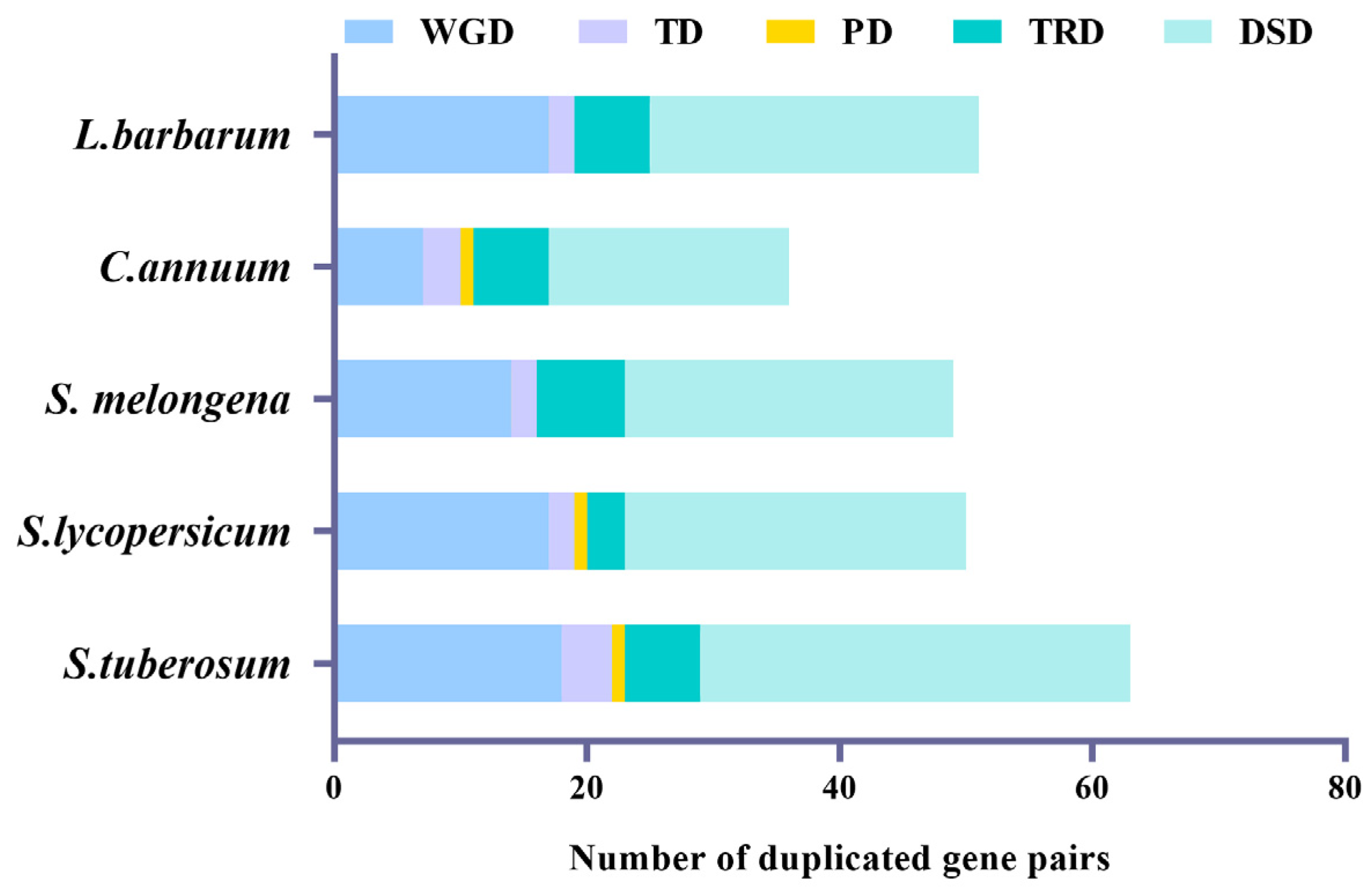 Genes 14 01943 g003